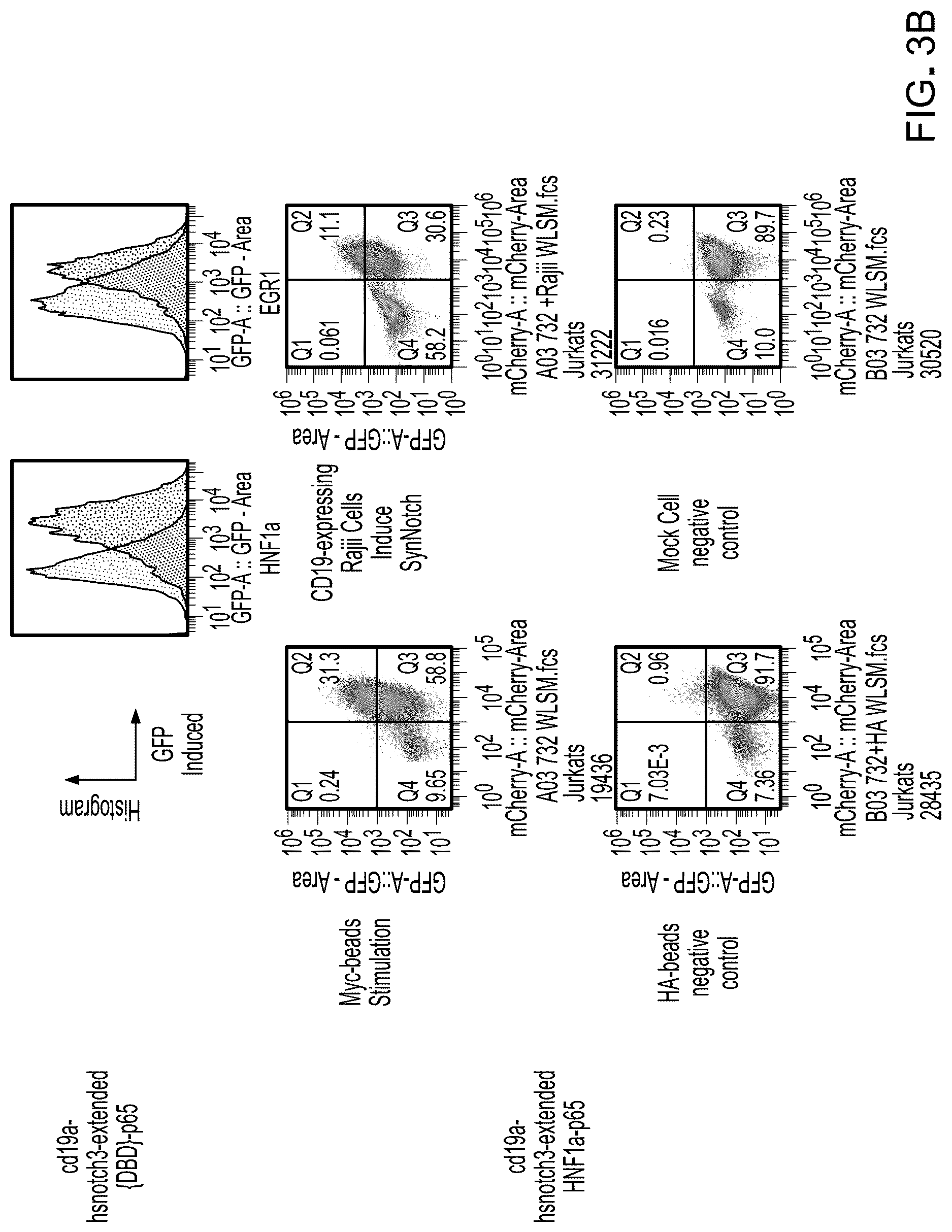 Patent US12617825 Figure 4 – Methods and compositions for reducing the immunogenicity of chimeric notch receptors