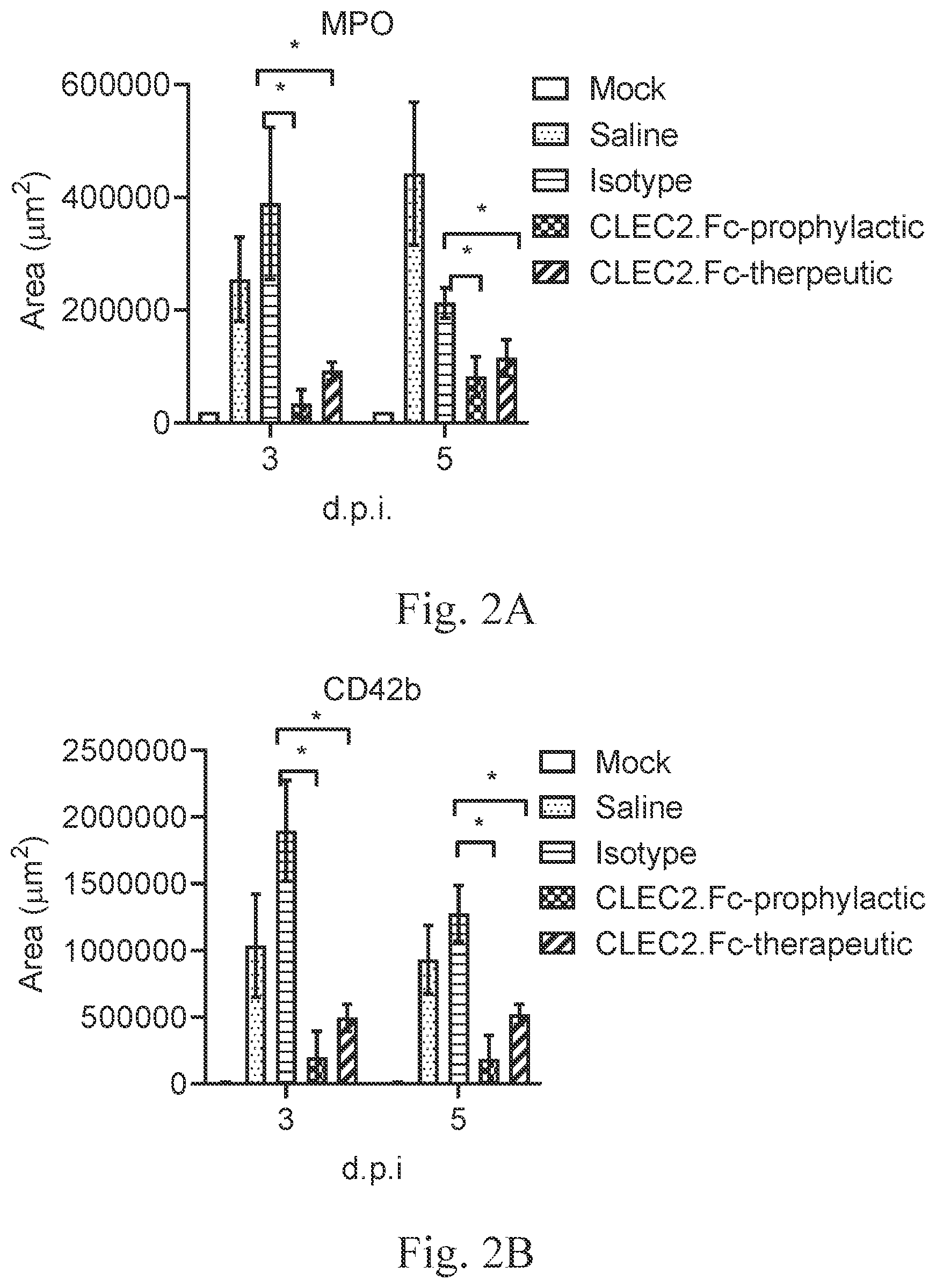 Patent US12617826 Figure 2 – CLEC2 fusion protein and uses thereof