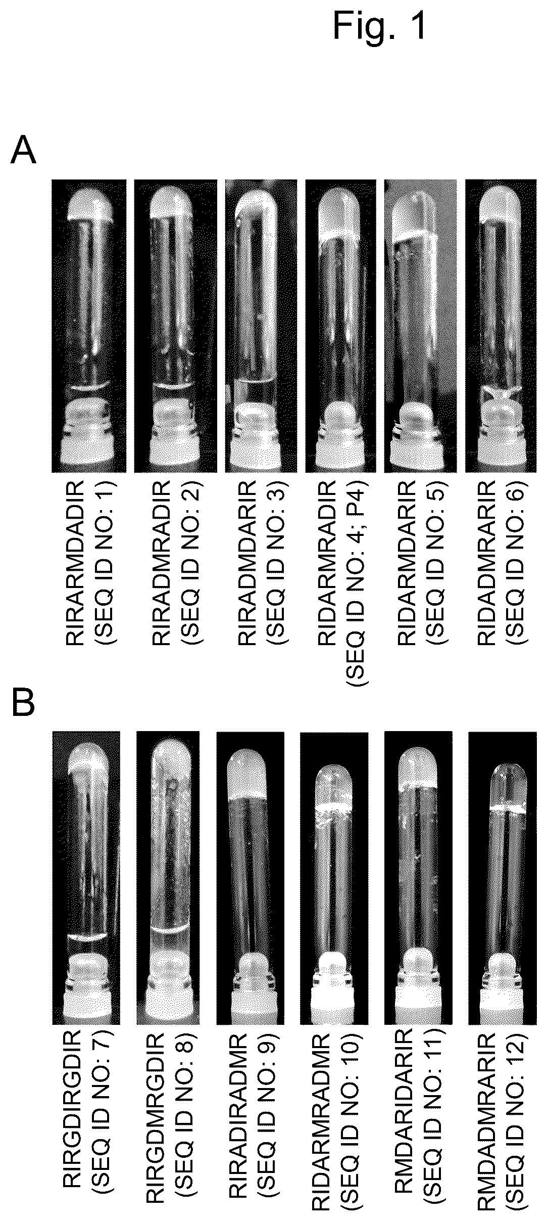 Patent US12617827 — Self-assembling peptide — Figure 1