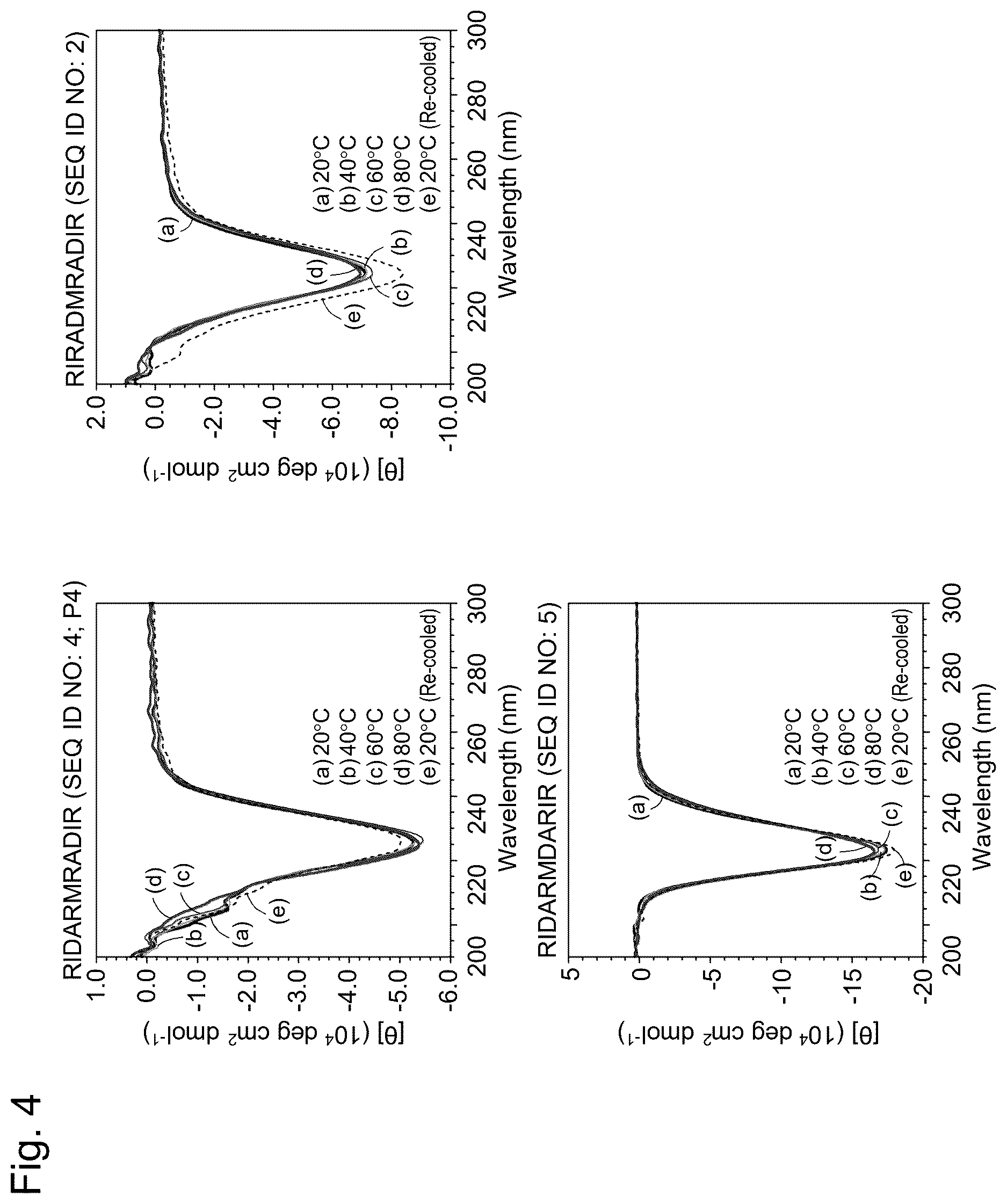 Patent US12617827 Figure 4 – Self-assembling peptide