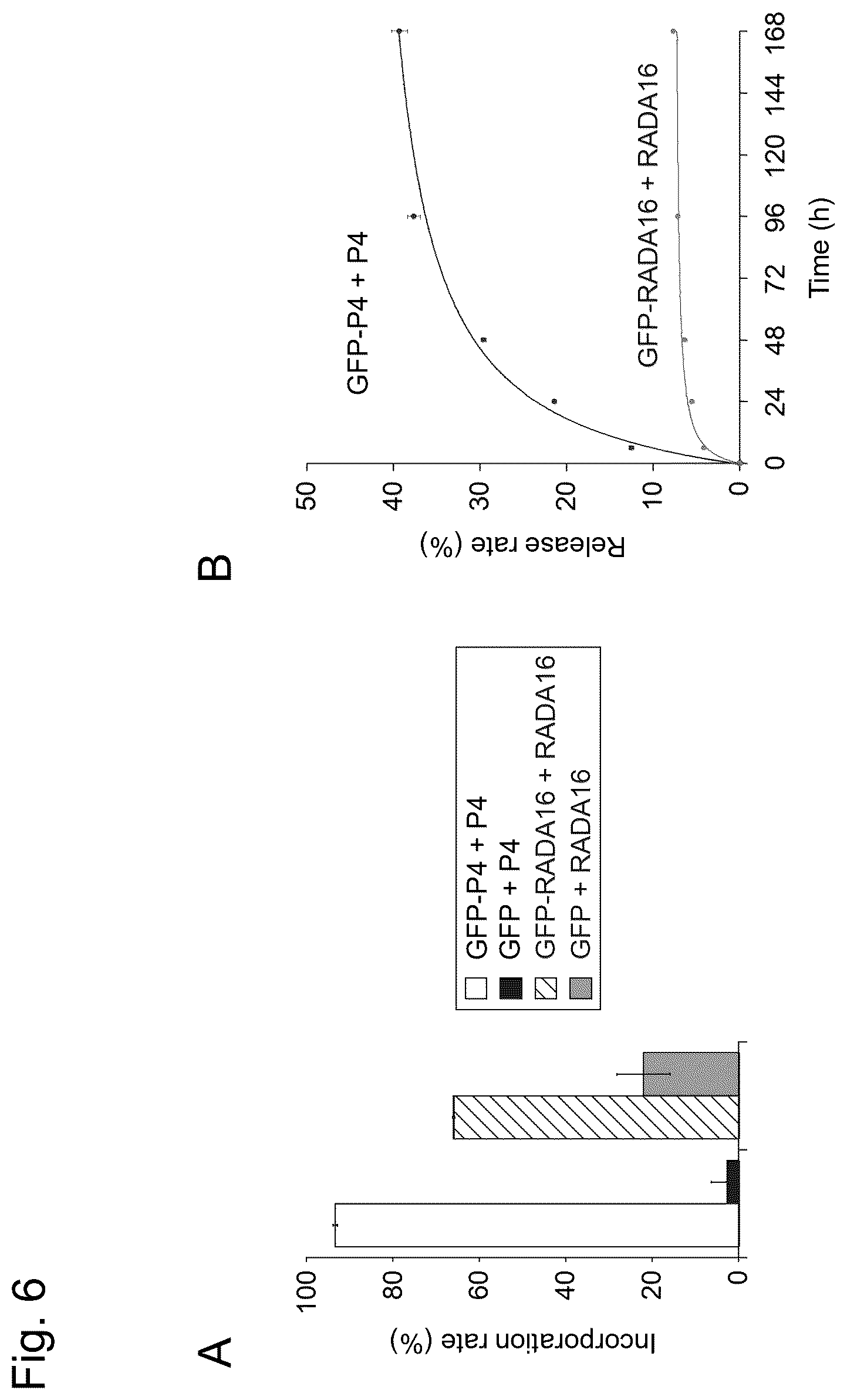 Patent US12617827 Figure 6 – Self-assembling peptide