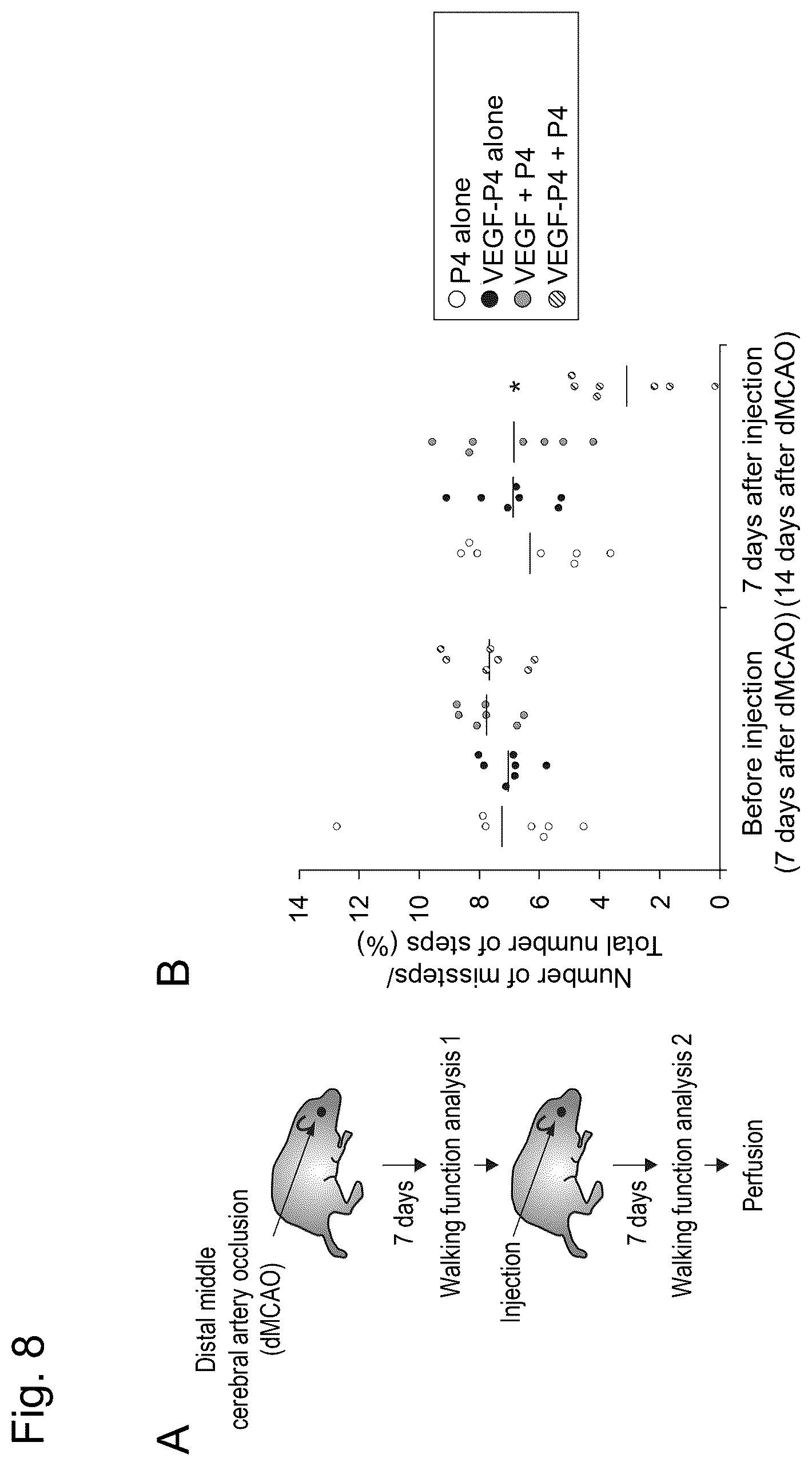 Patent US12617827 Figure 8 – Self-assembling peptide