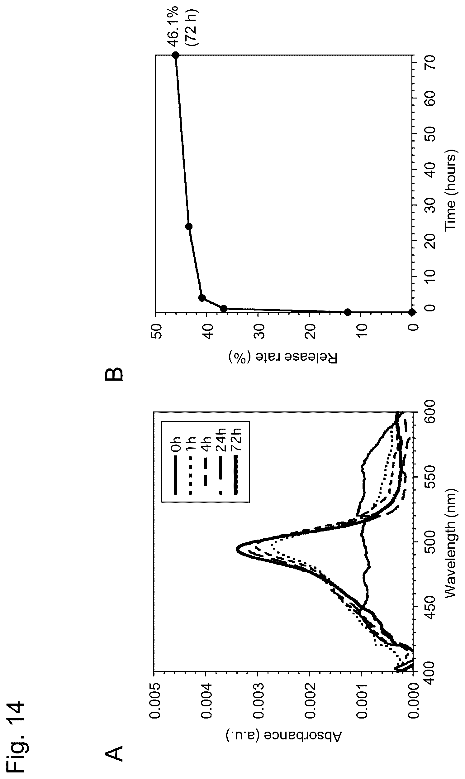 Patent US12617827 Figure 14 – Self-assembling peptide