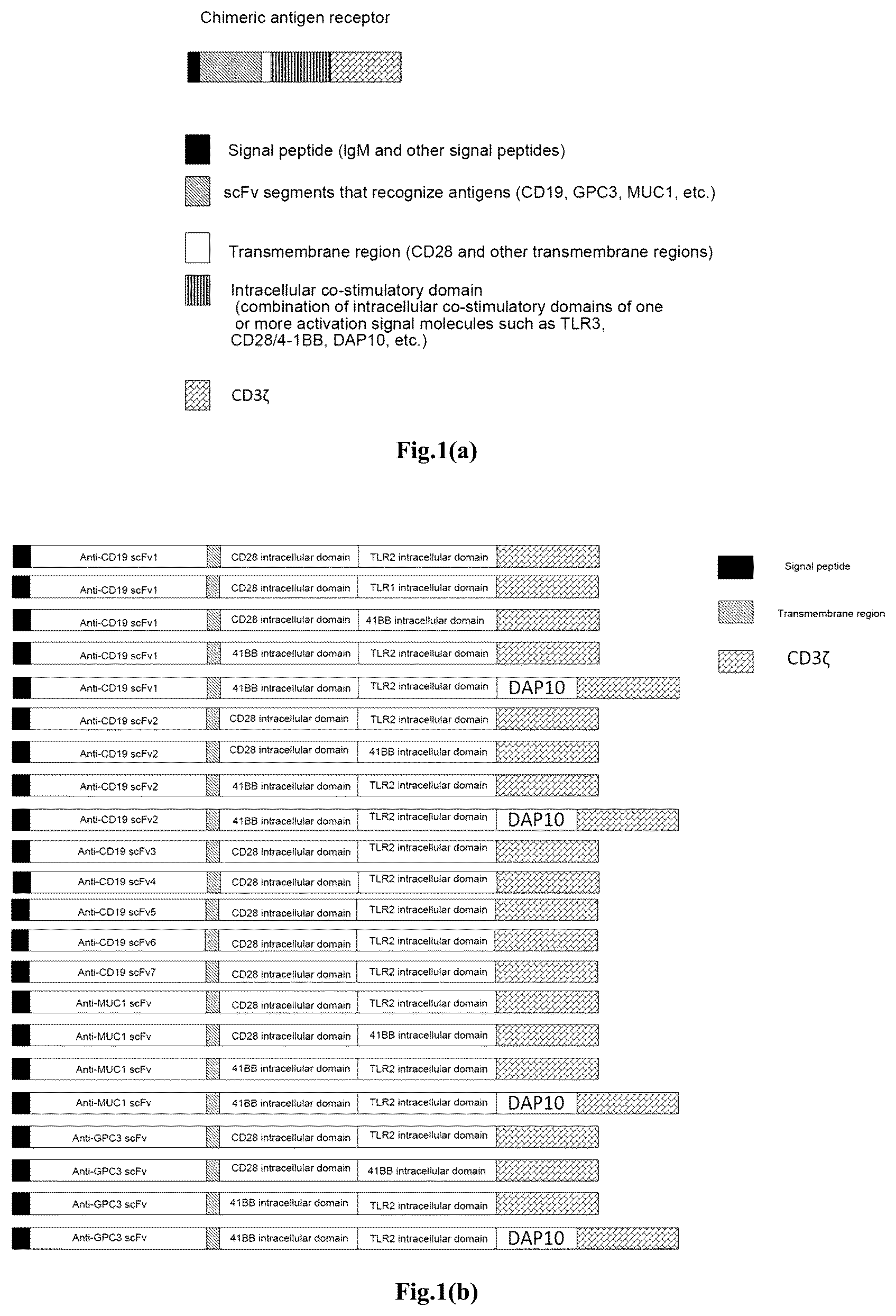 Patent US12617828 Figure 1 – Genetically modified immune cell, preparation method therefor, and application