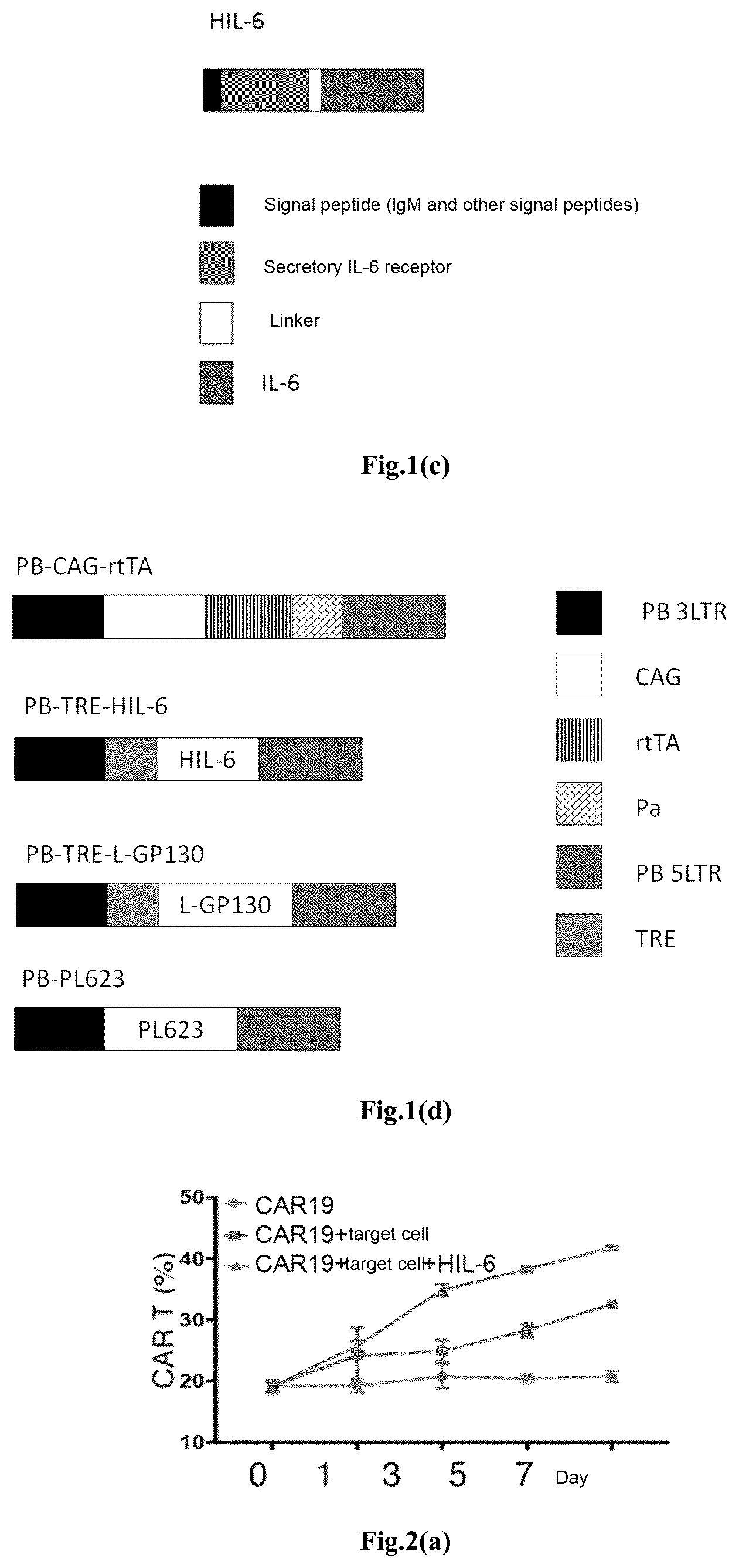 Patent US12617828 Figure 2 – Genetically modified immune cell, preparation method therefor, and application