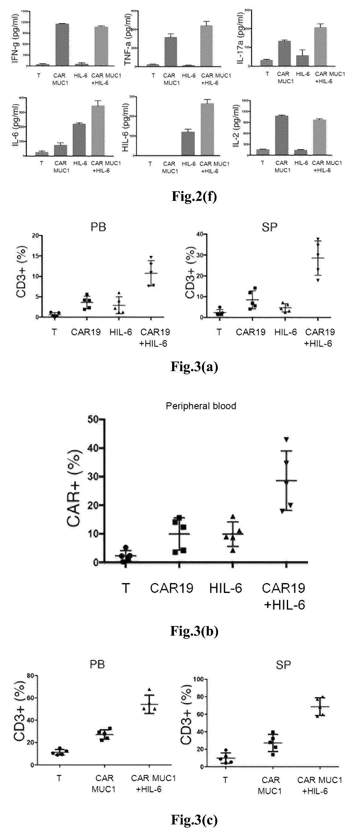 Patent US12617828 Figure 4 – Genetically modified immune cell, preparation method therefor, and application