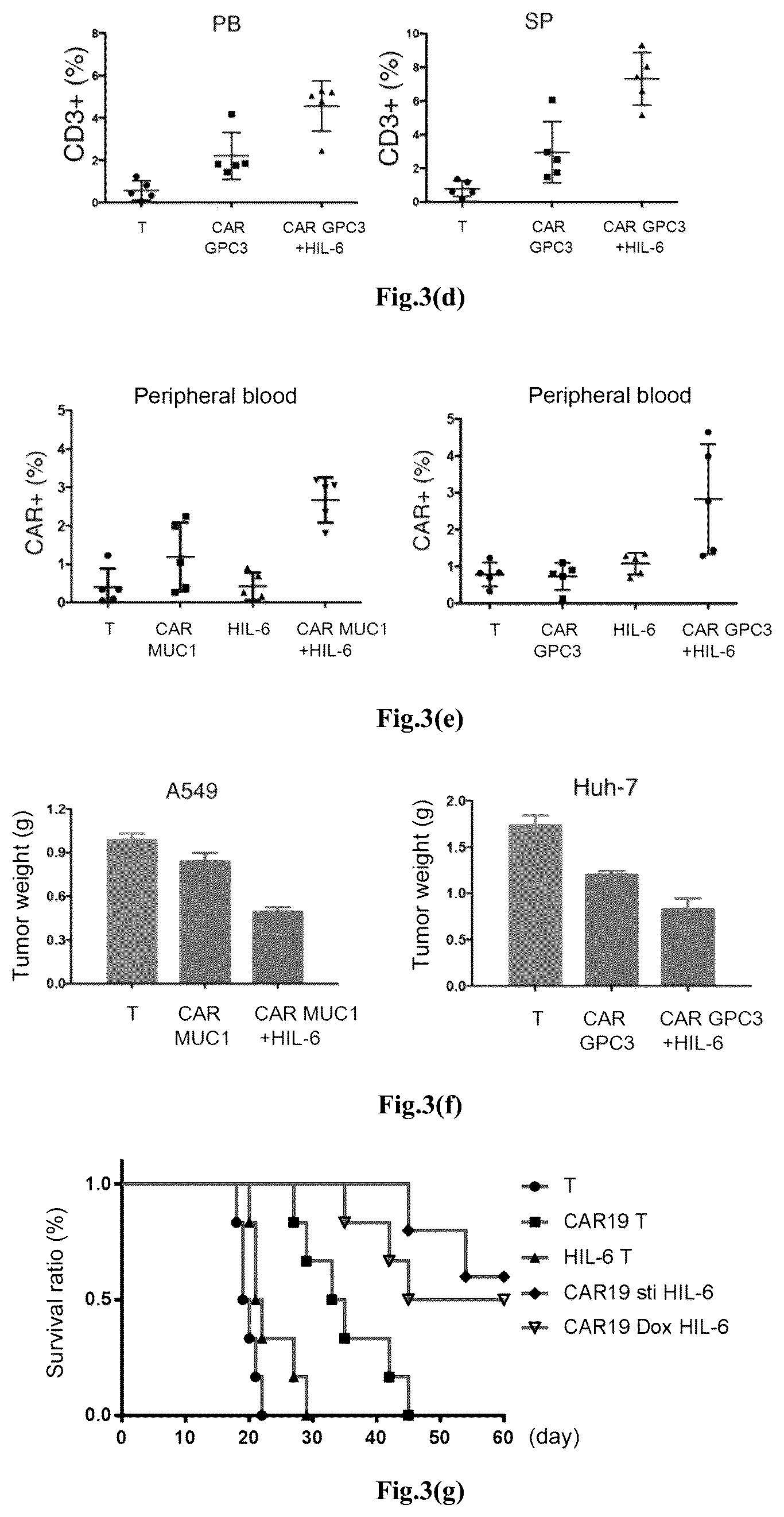 Patent US12617828 Figure 5 – Genetically modified immune cell, preparation method therefor, and application