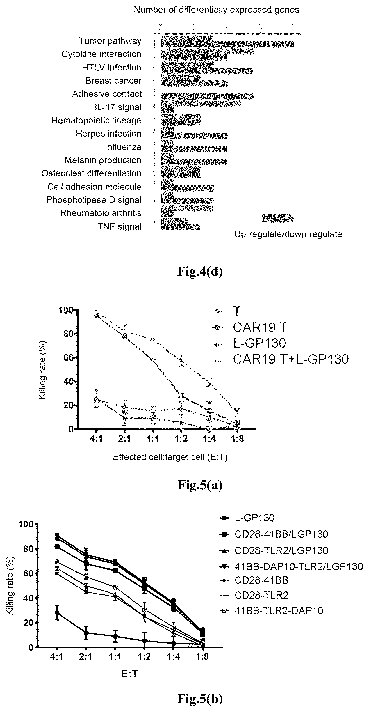 Patent US12617828 Figure 7 – Genetically modified immune cell, preparation method therefor, and application