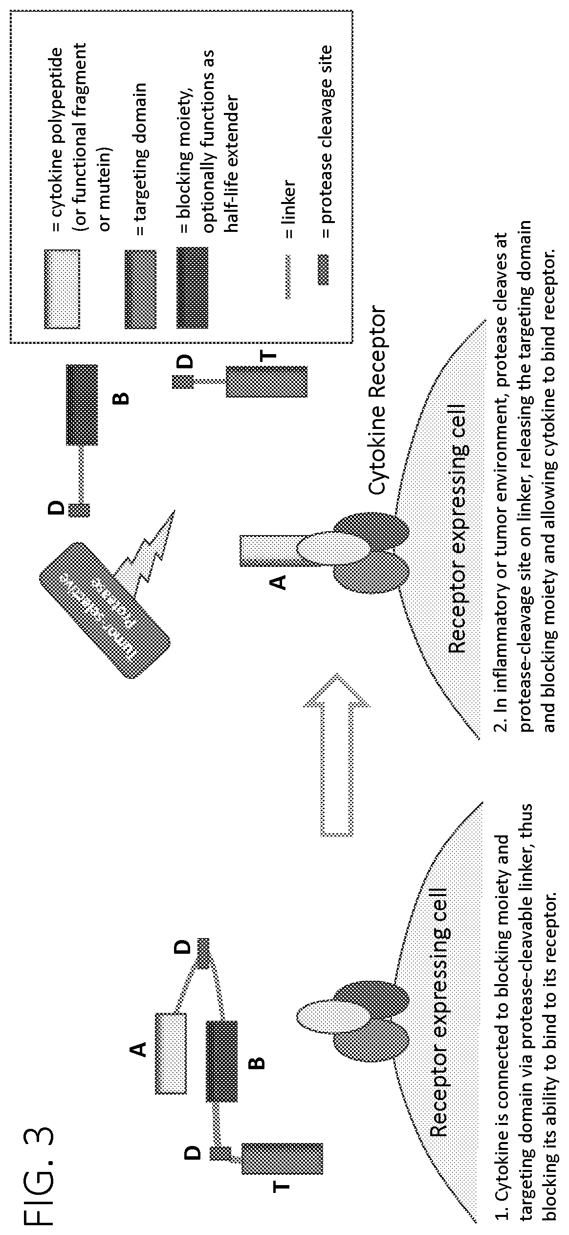Patent US12617829 Figure 6 – Activatable cytokine polypeptides and methods of use thereof