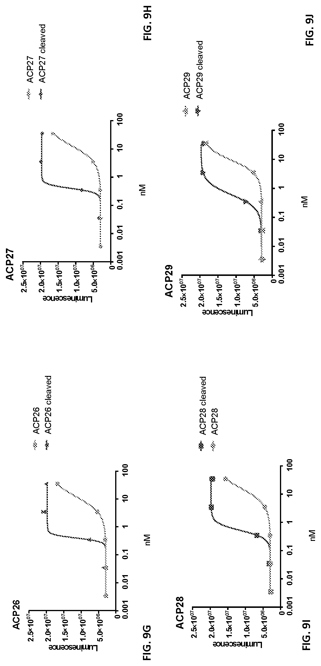 Patent US12617829 Figure 15 – Activatable cytokine polypeptides and methods of use thereof