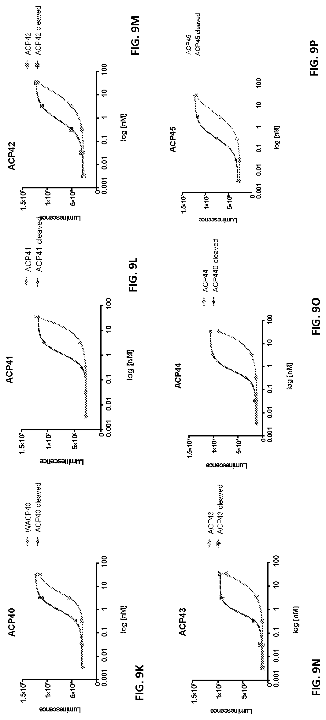 Patent US12617829 Figure 16 – Activatable cytokine polypeptides and methods of use thereof
