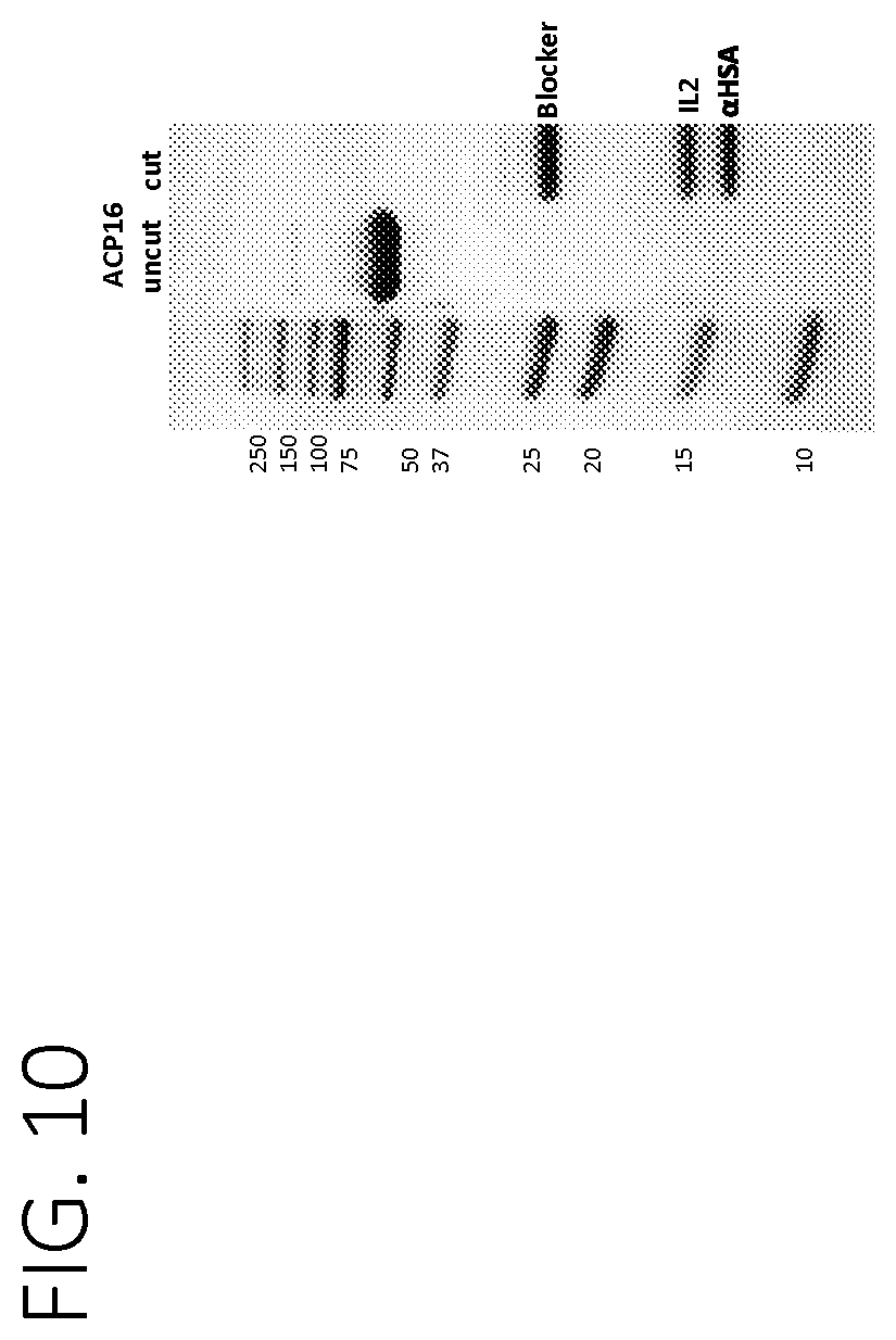 Patent US12617829 Figure 20 – Activatable cytokine polypeptides and methods of use thereof