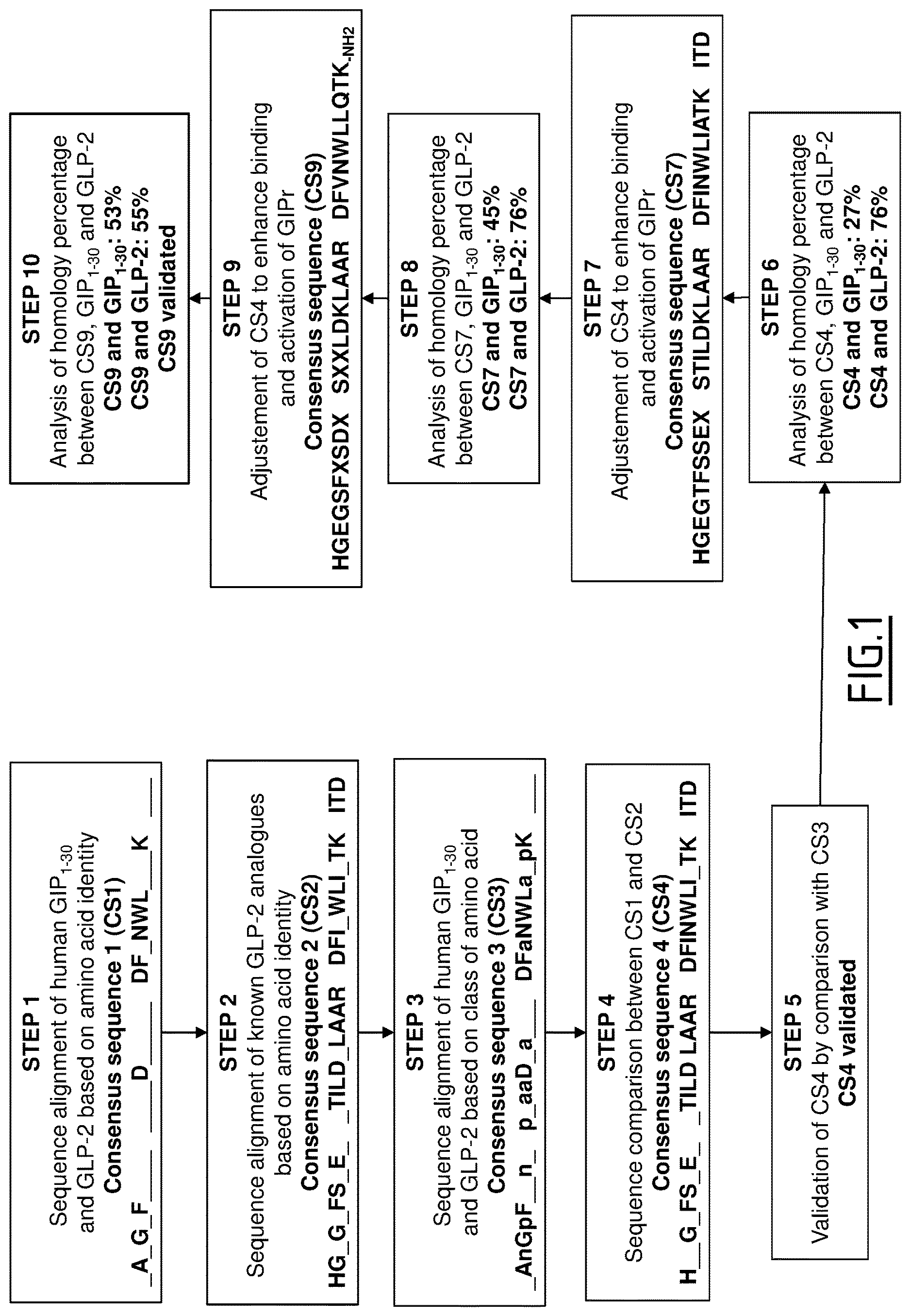 Patent US12617831 Figure 1 – Peptide targeting GIP and GLP-2 receptors for treating bone disorders