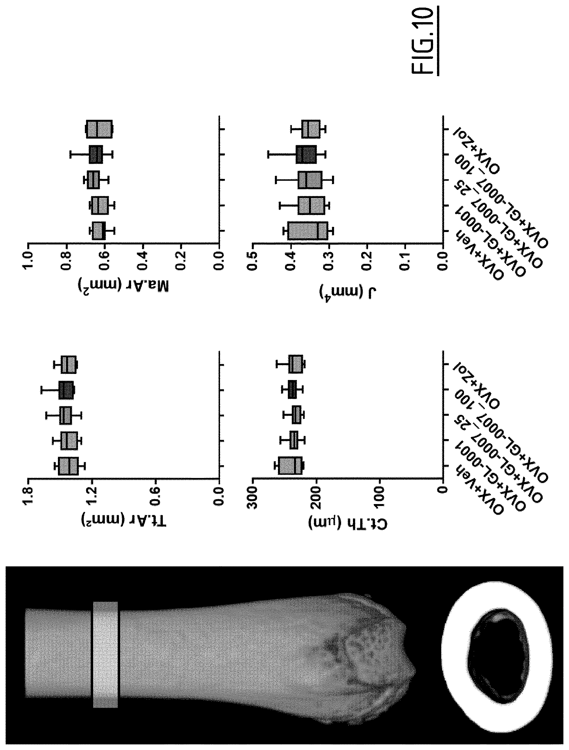 Patent US12617831 Figure 10 – Peptide targeting GIP and GLP-2 receptors for treating bone disorders