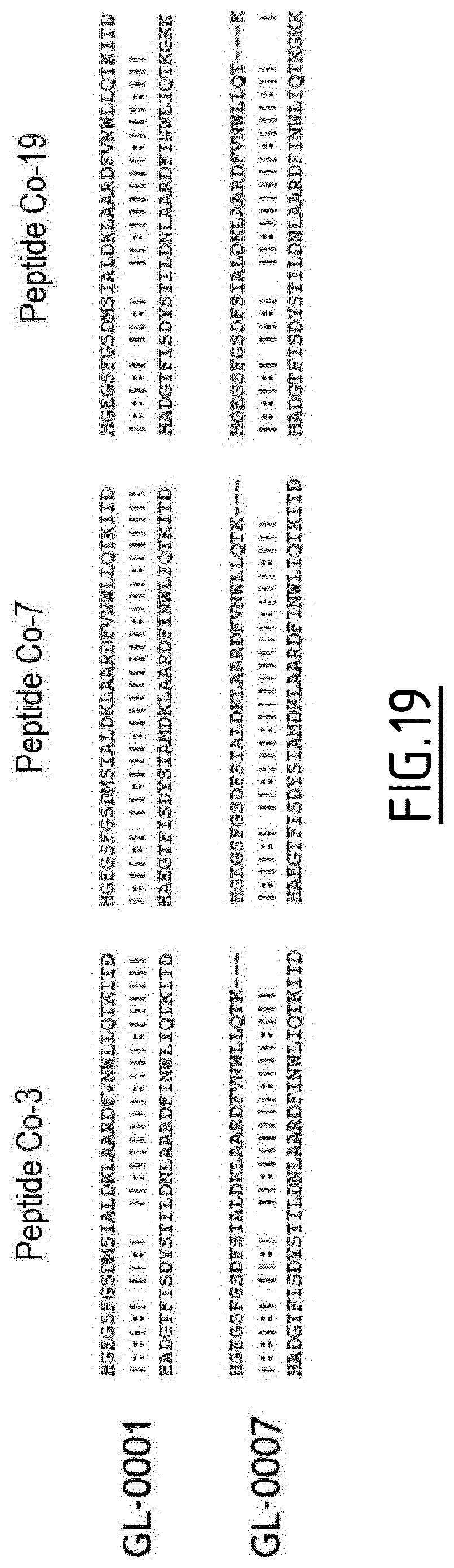 Patent US12617831 Figure 19 – Peptide targeting GIP and GLP-2 receptors for treating bone disorders