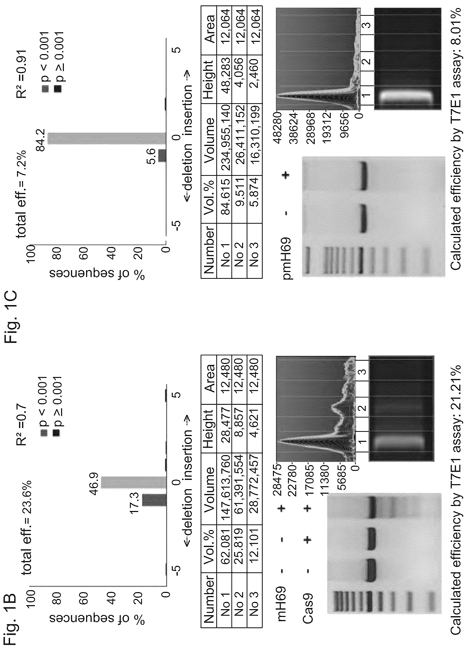 Patent US12617832 Figure 2 – Genetic engineering of B cell receptors and uses thereof in antigen-induced antibody secretion