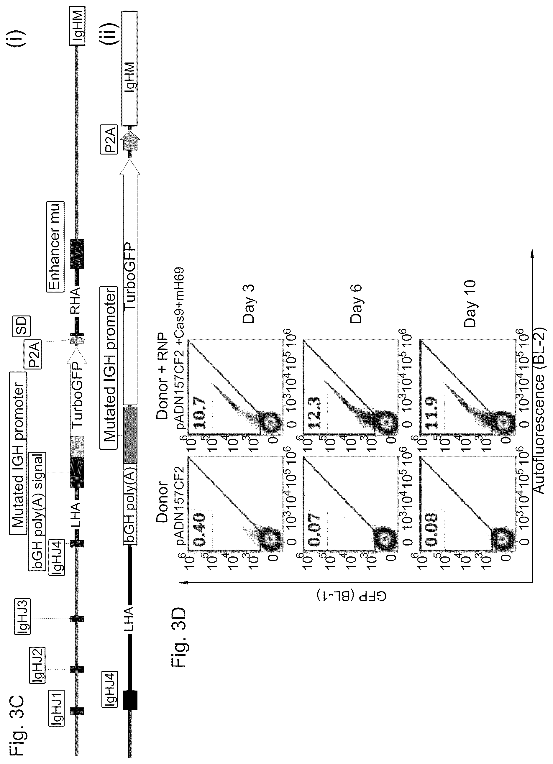 Patent US12617832 Figure 7 – Genetic engineering of B cell receptors and uses thereof in antigen-induced antibody secretion