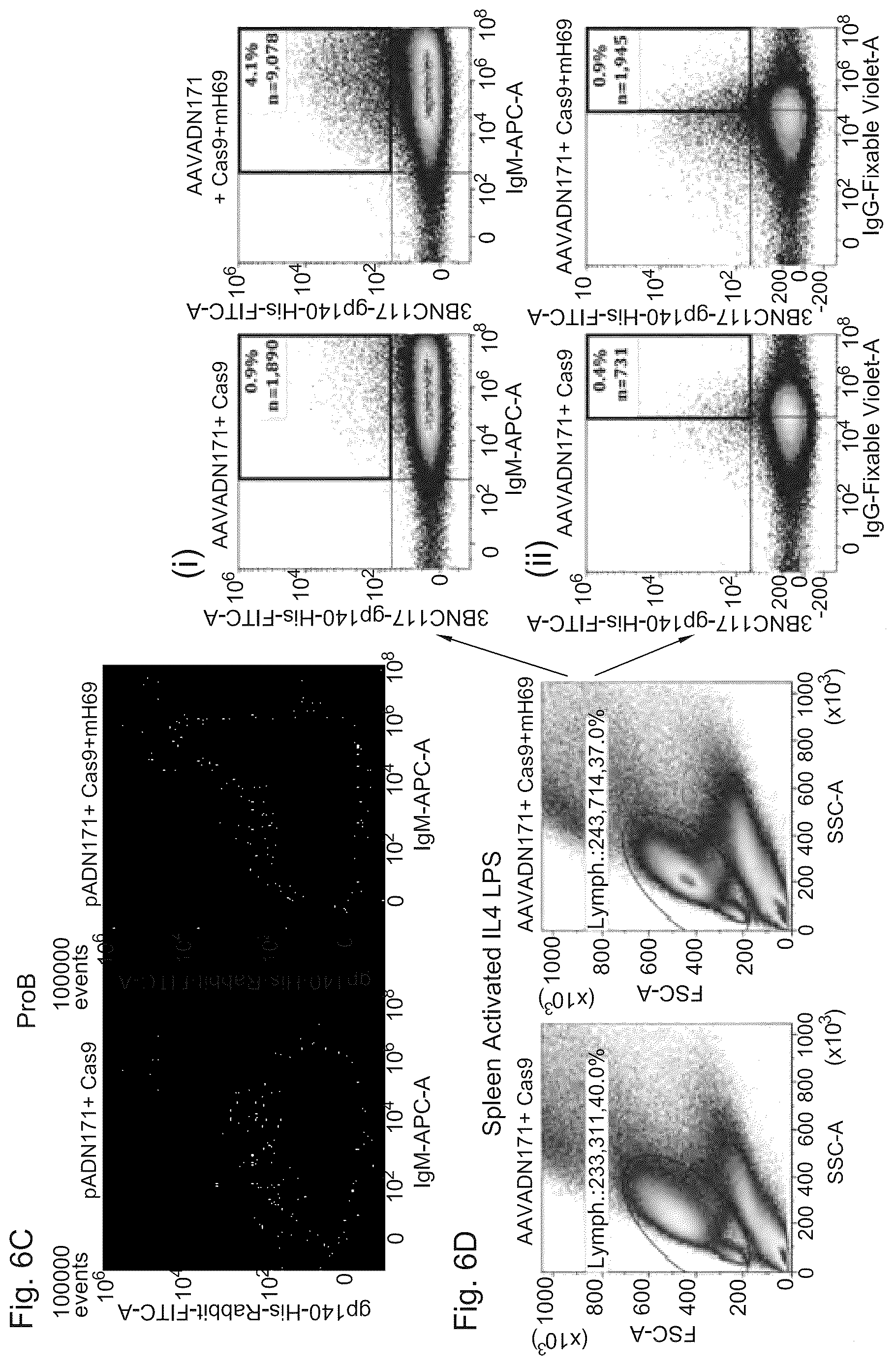 Patent US12617832 Figure 14 – Genetic engineering of B cell receptors and uses thereof in antigen-induced antibody secretion