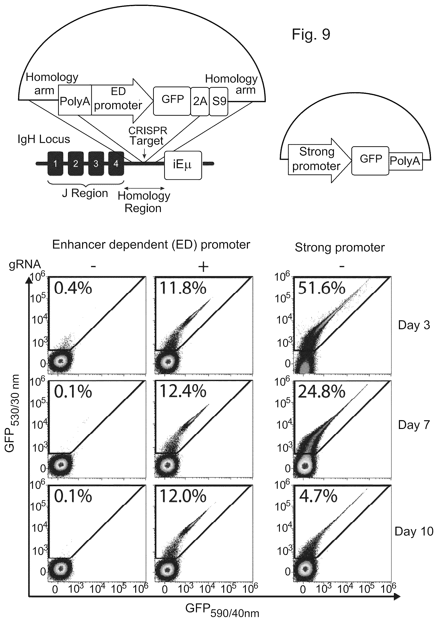 Patent US12617832 Figure 20 – Genetic engineering of B cell receptors and uses thereof in antigen-induced antibody secretion