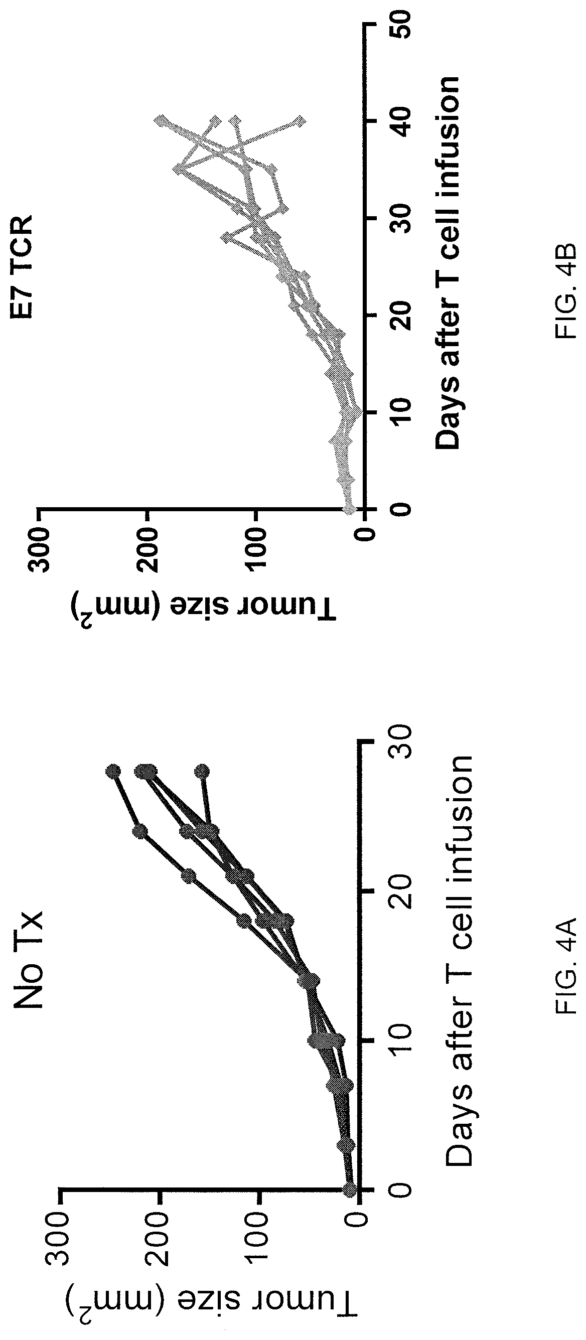 Patent US12617833 Figure 4 – Tethered interleukin-15 and interleukin-21