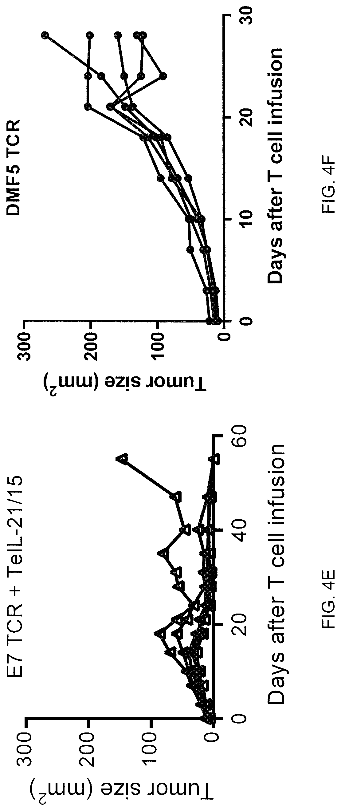 Patent US12617833 Figure 6 – Tethered interleukin-15 and interleukin-21