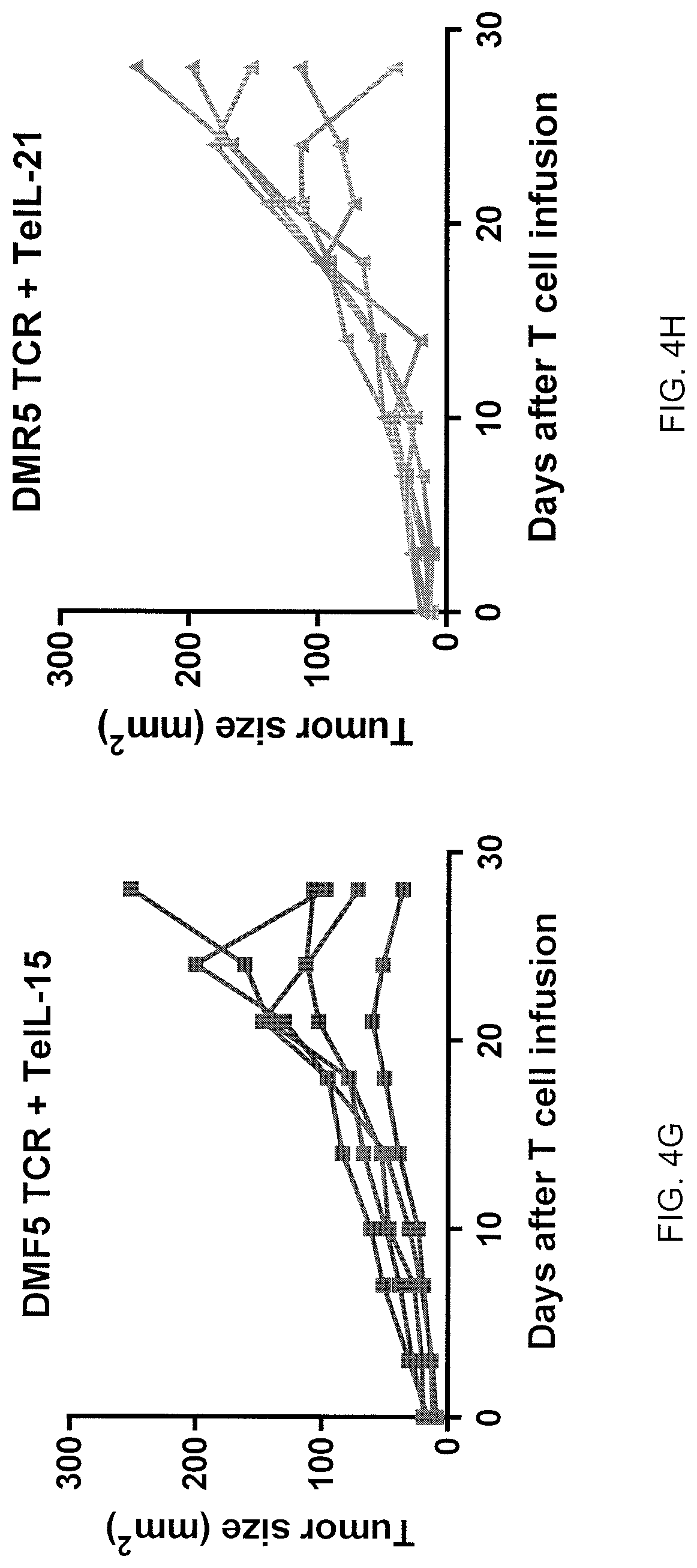 Patent US12617833 Figure 7 – Tethered interleukin-15 and interleukin-21