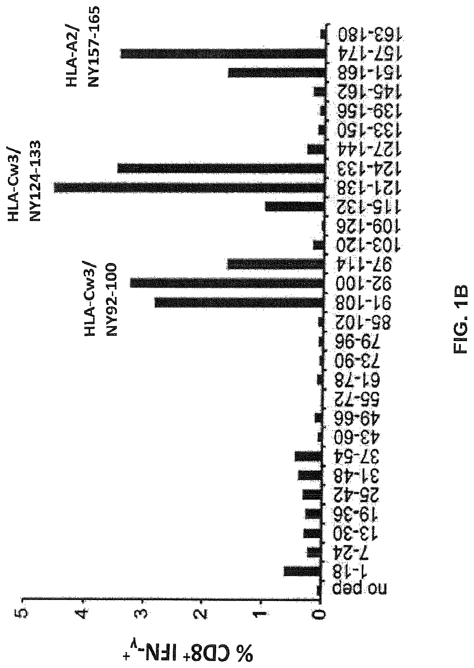 Patent US12617834 Figure 2 – Composition of NY-ESO-1-specific t cell receptors restricted on multiple major histocompatibility complex molecules