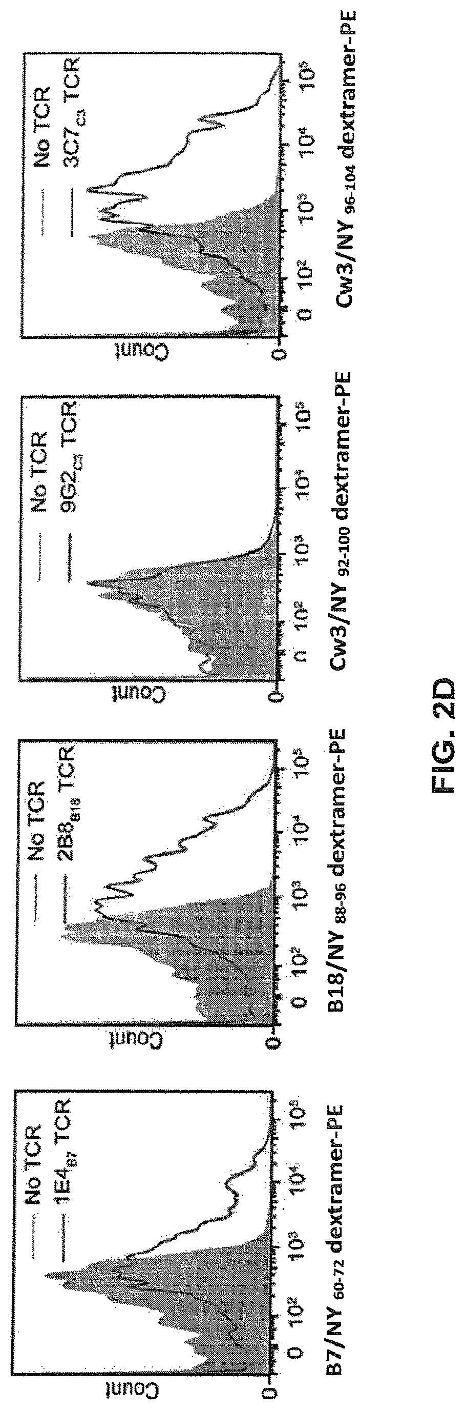 Patent US12617834 Figure 6 – Composition of NY-ESO-1-specific t cell receptors restricted on multiple major histocompatibility complex molecules