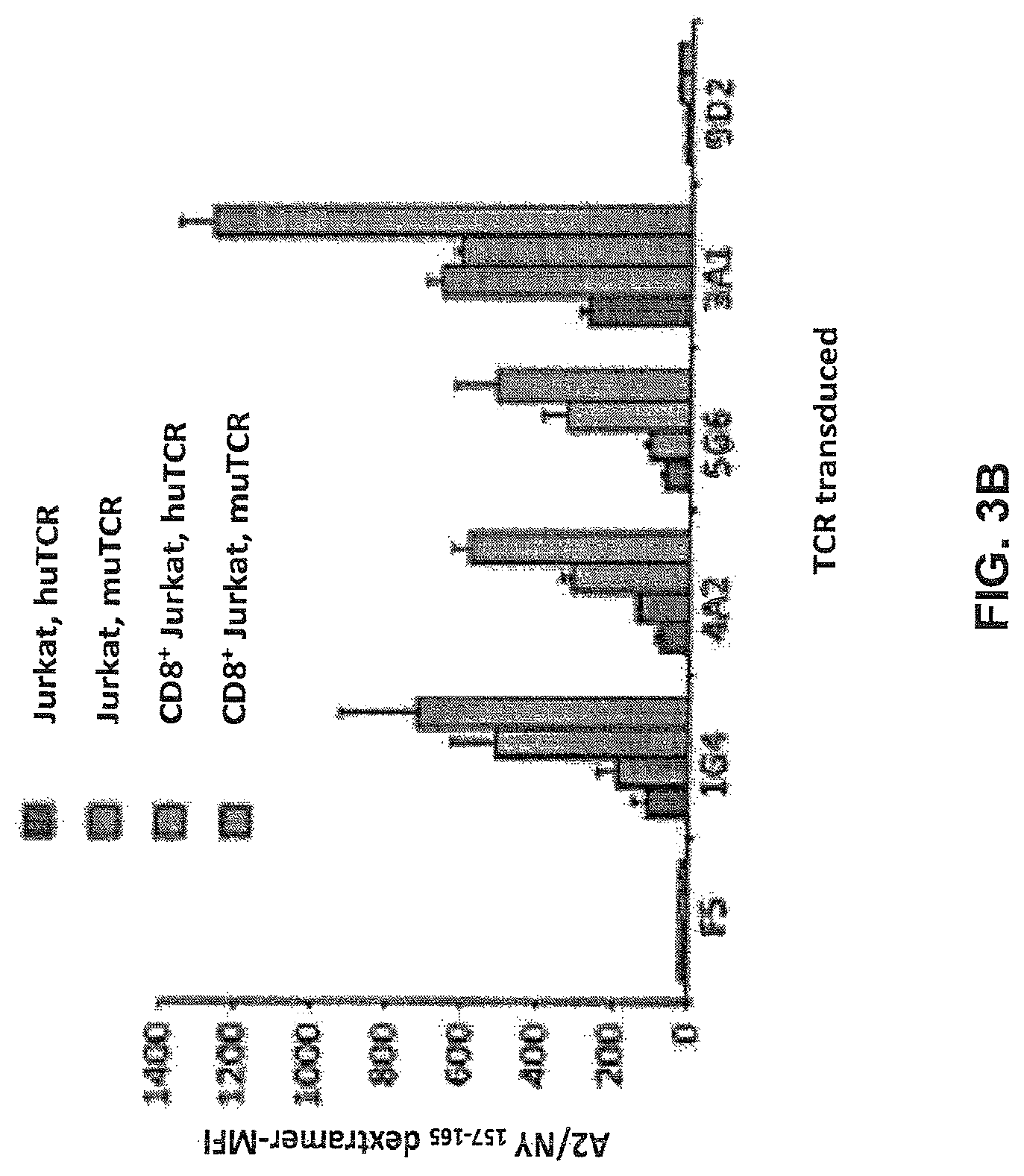 Patent US12617834 Figure 8 – Composition of NY-ESO-1-specific t cell receptors restricted on multiple major histocompatibility complex molecules