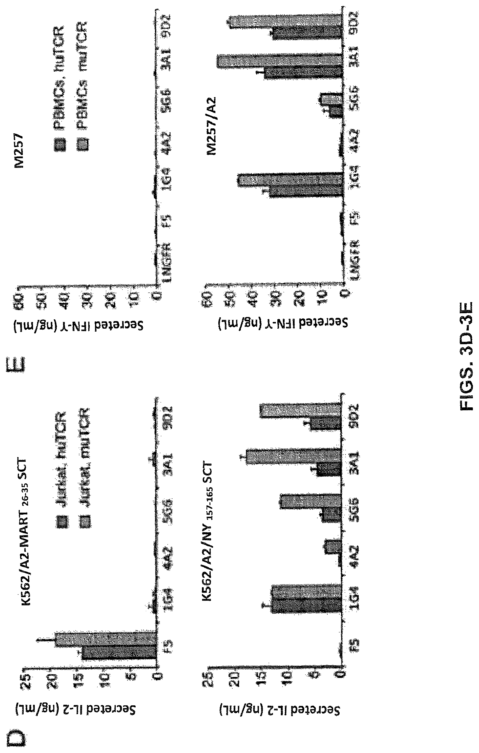 Patent US12617834 Figure 10 – Composition of NY-ESO-1-specific t cell receptors restricted on multiple major histocompatibility complex molecules