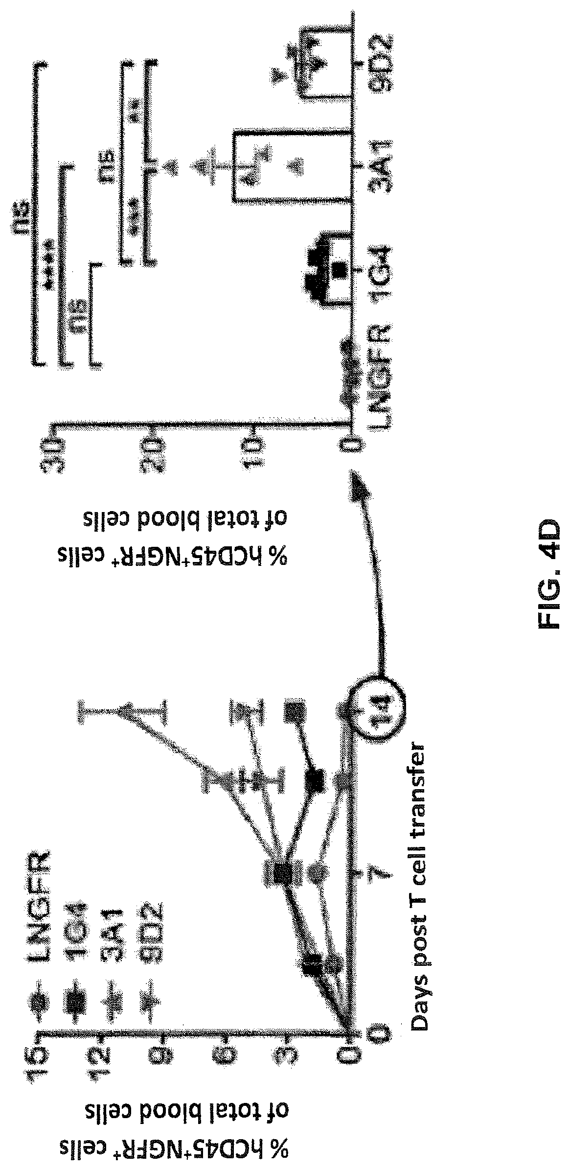 Patent US12617834 Figure 14 – Composition of NY-ESO-1-specific t cell receptors restricted on multiple major histocompatibility complex molecules