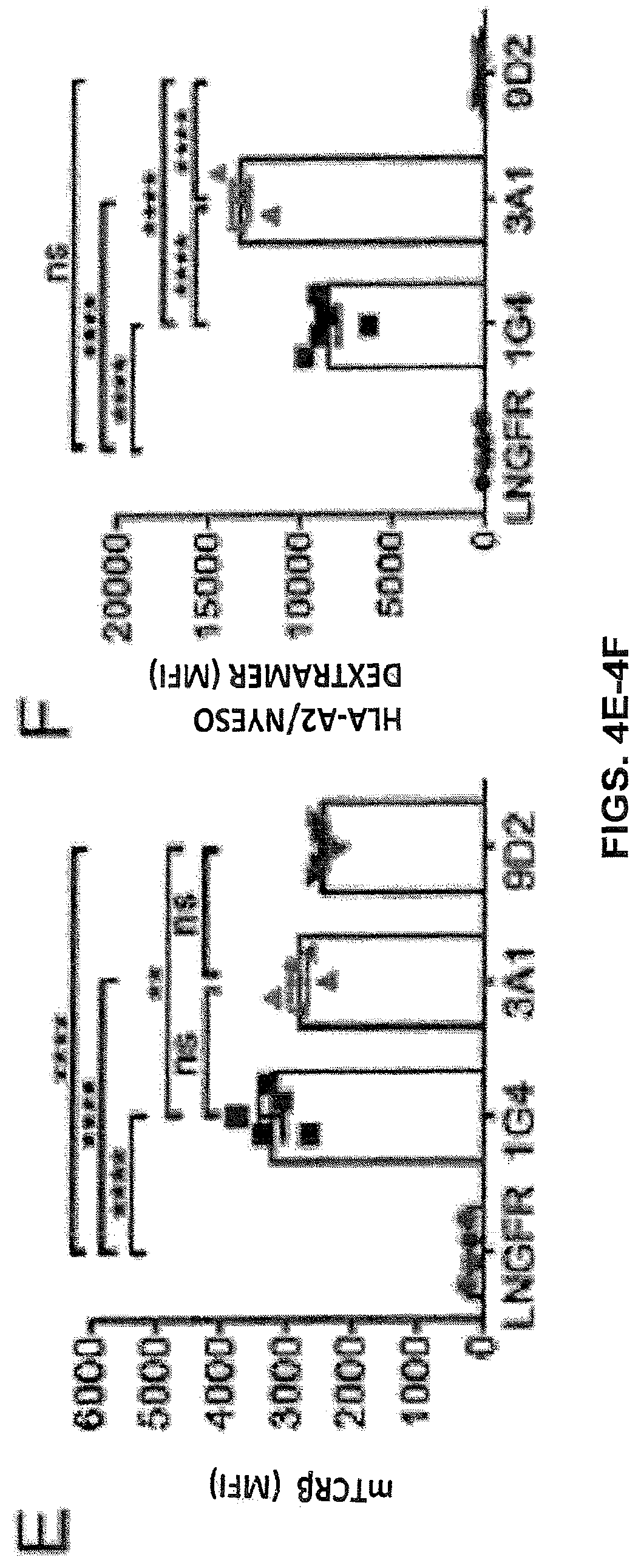 Patent US12617834 Figure 15 – Composition of NY-ESO-1-specific t cell receptors restricted on multiple major histocompatibility complex molecules