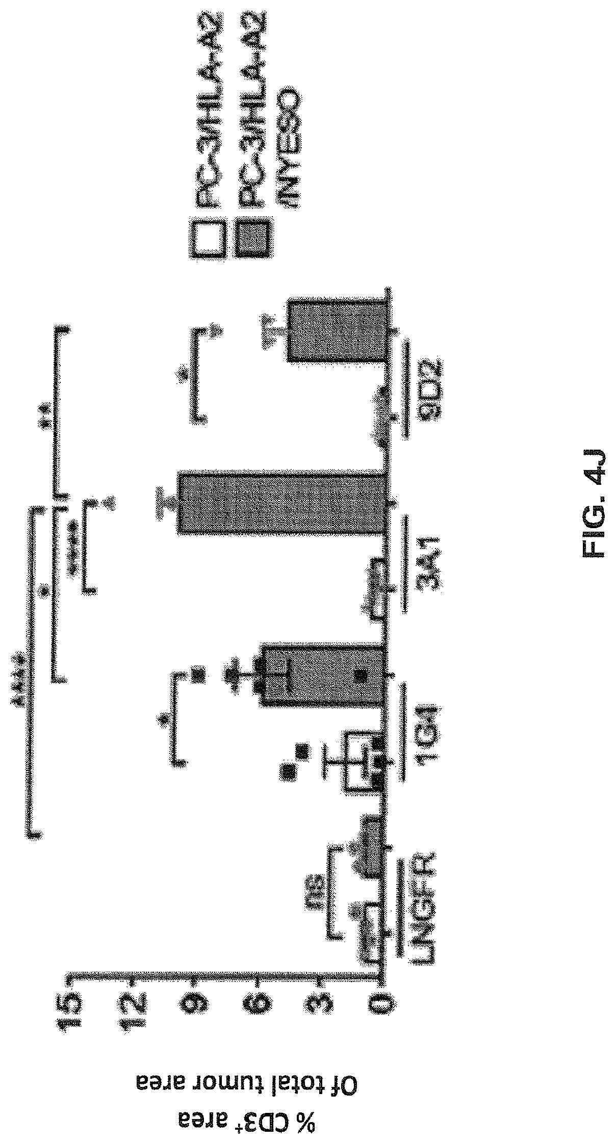 Patent US12617834 Figure 19 – Composition of NY-ESO-1-specific t cell receptors restricted on multiple major histocompatibility complex molecules