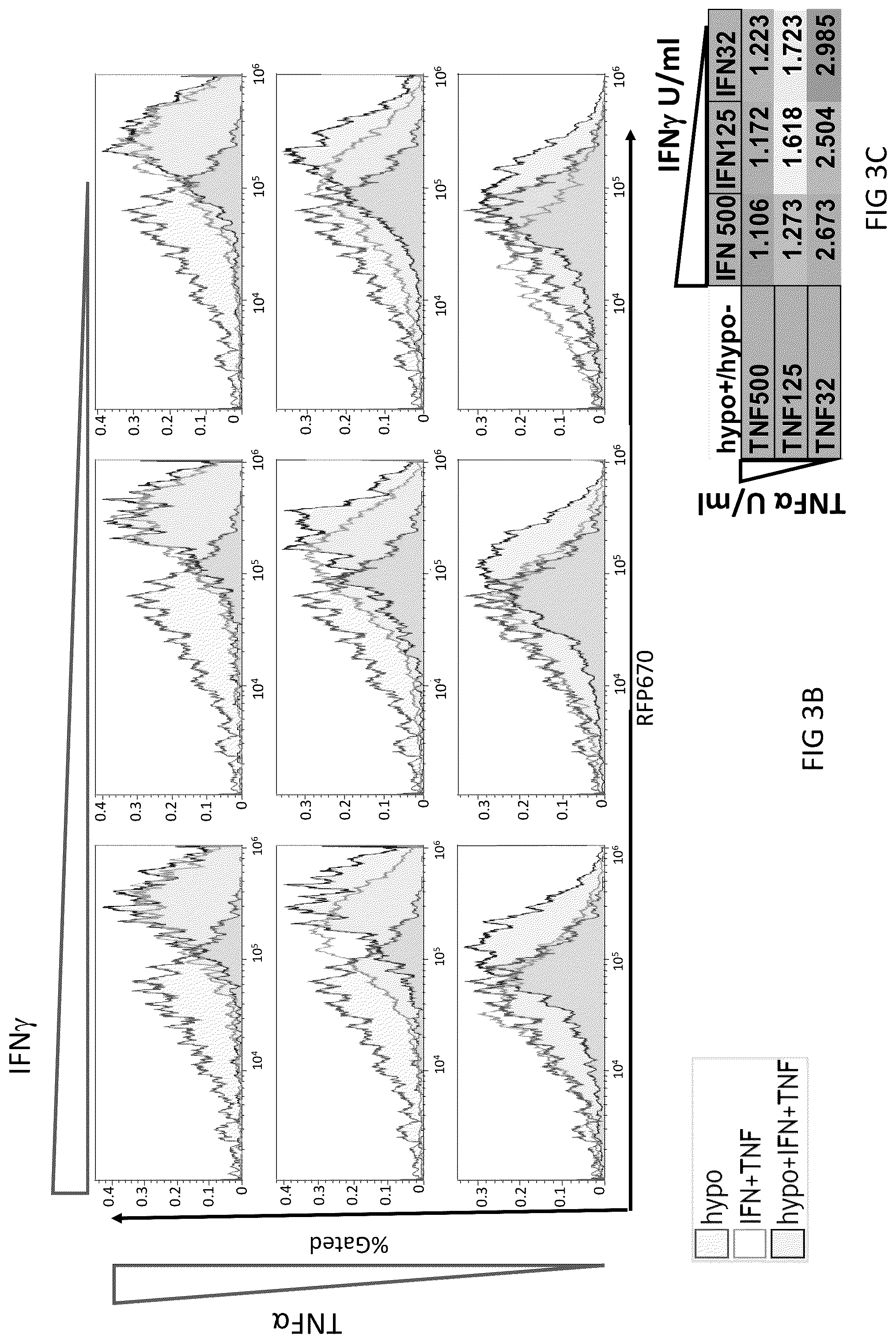 Patent US12617836 Figure 4 – Tumor environment specific expression of effector genes