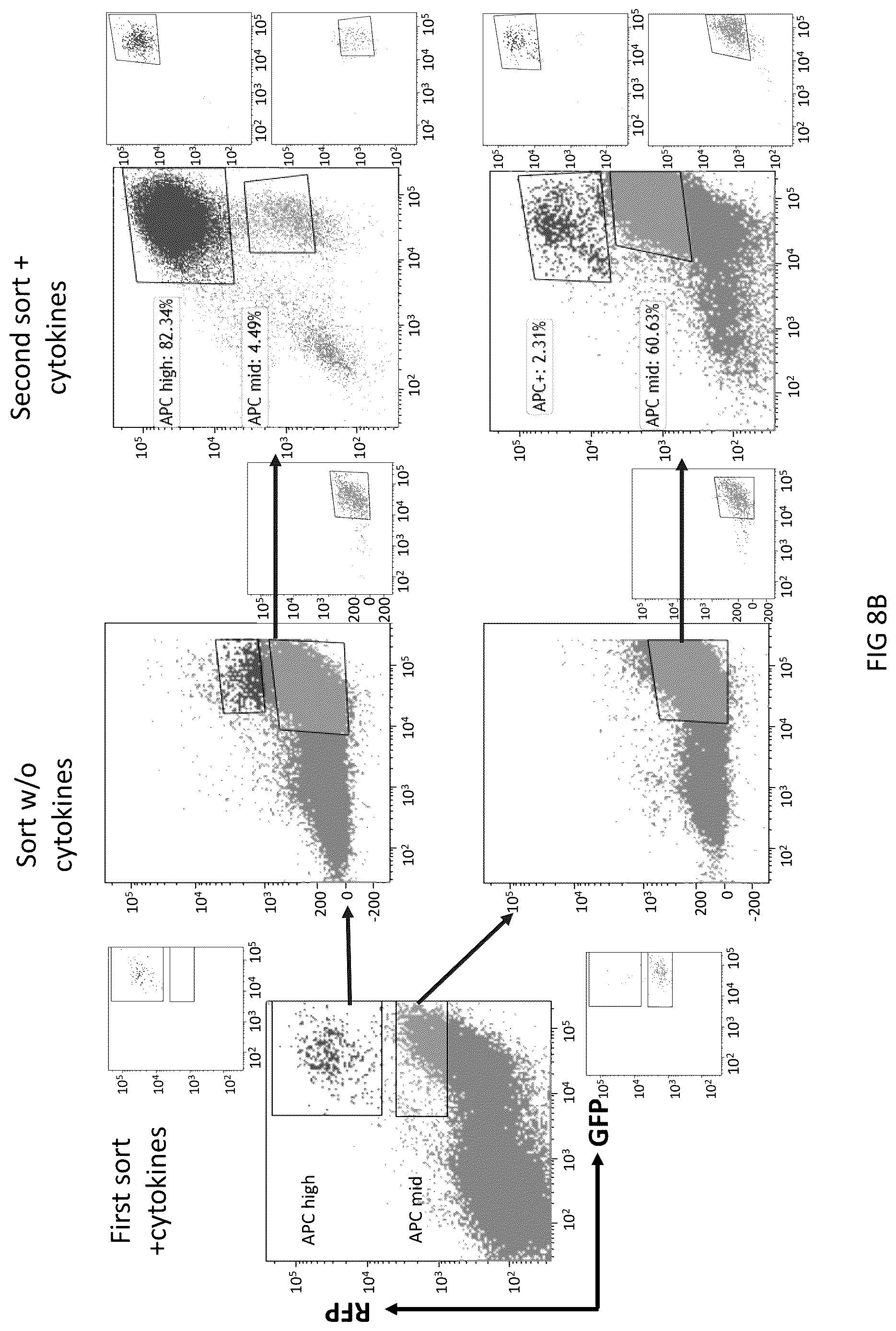 Patent US12617836 Figure 14 – Tumor environment specific expression of effector genes