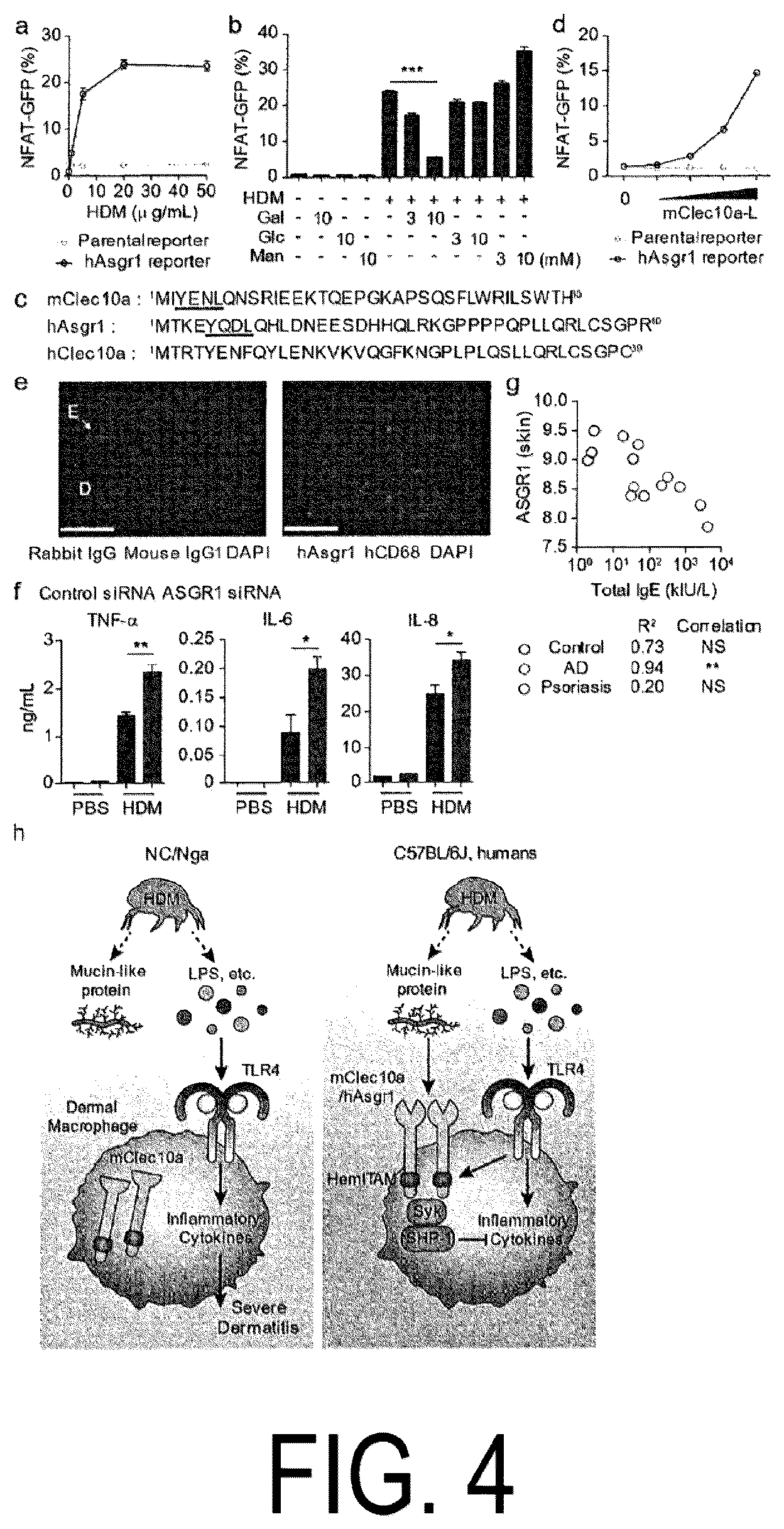 Patent US12617837 Figure 4 – Composition for use in treatment of allergic diseases