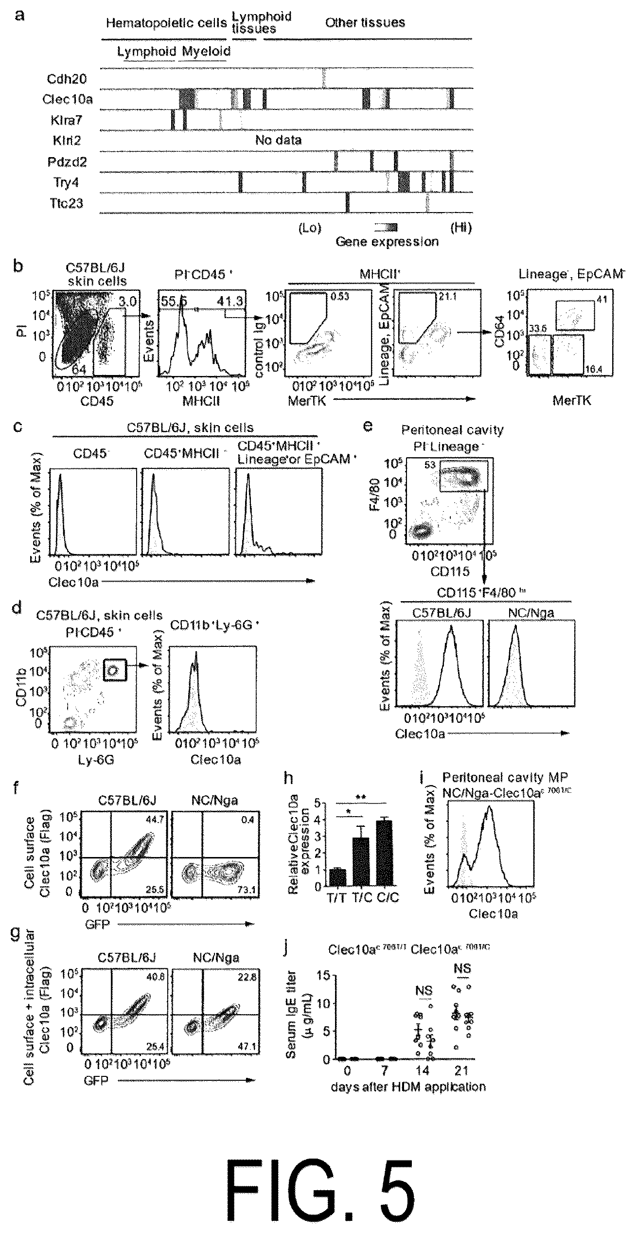 Patent US12617837 Figure 5 – Composition for use in treatment of allergic diseases
