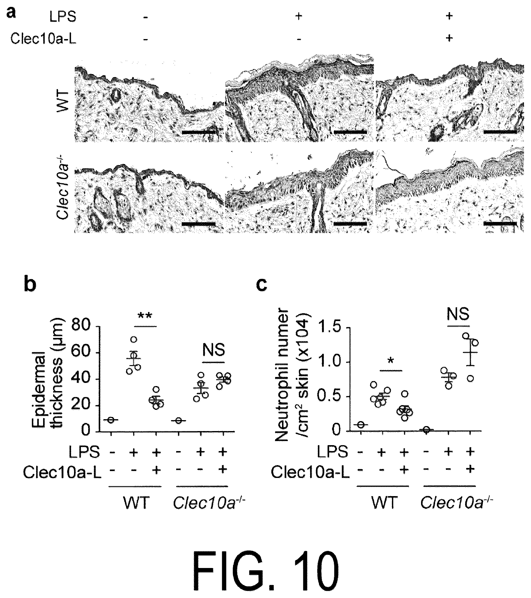 Patent US12617837 Figure 9 – Composition for use in treatment of allergic diseases