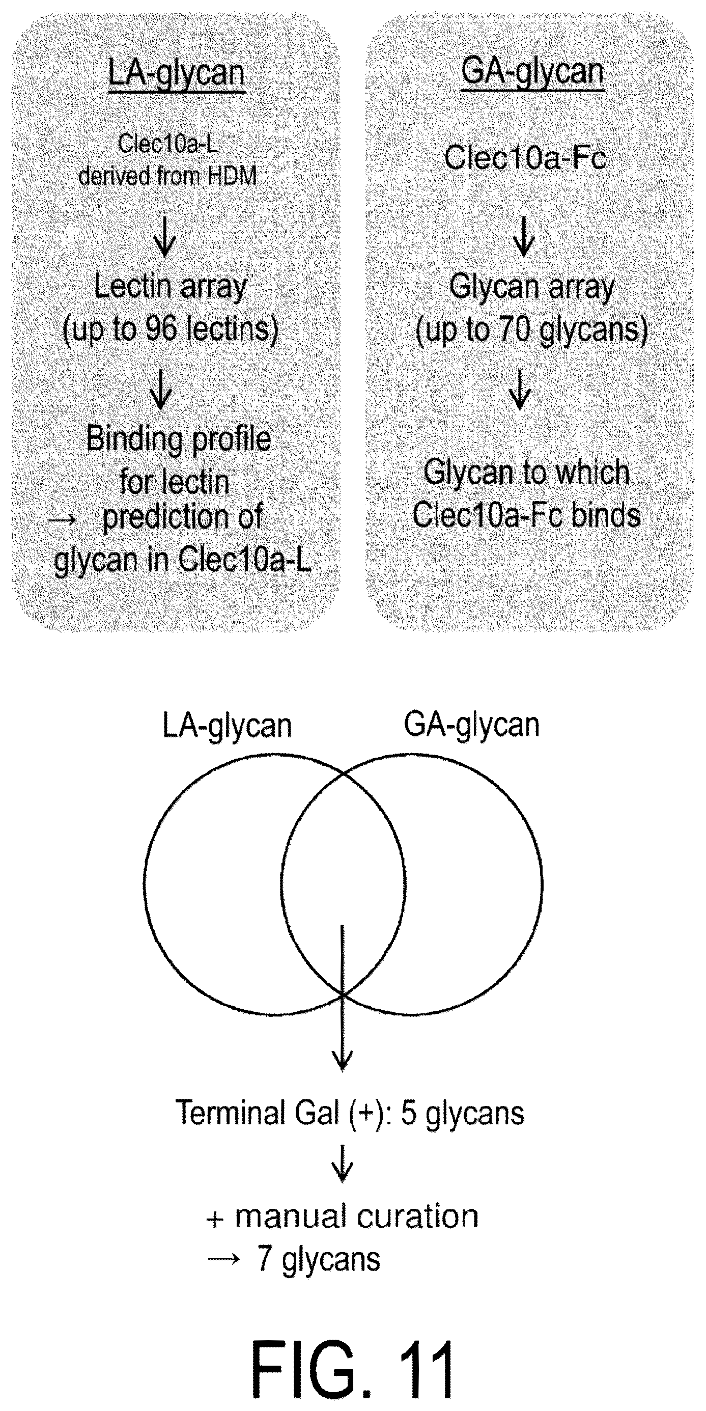 Patent US12617837 Figure 10 – Composition for use in treatment of allergic diseases