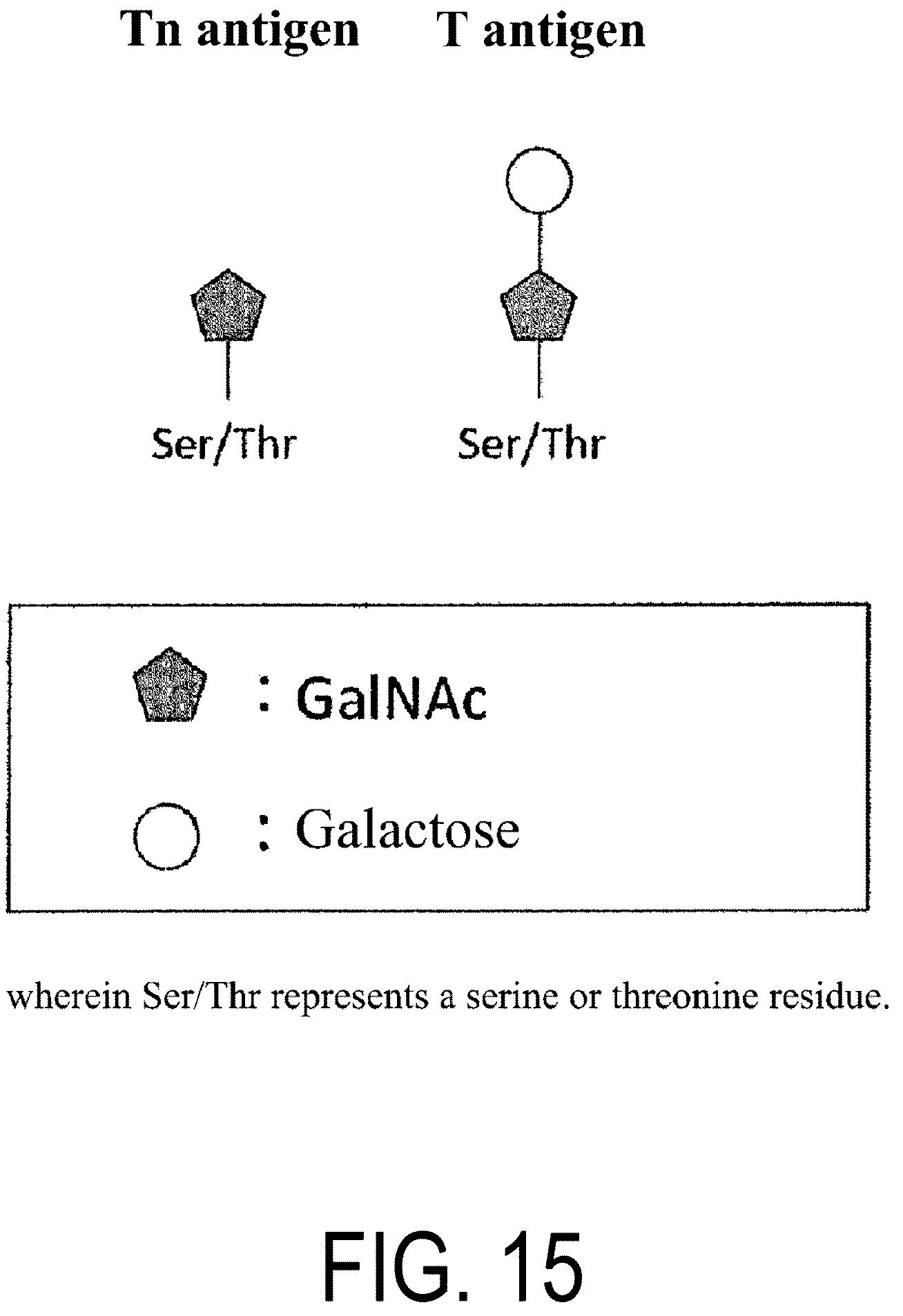Patent US12617837 Figure 13 – Composition for use in treatment of allergic diseases