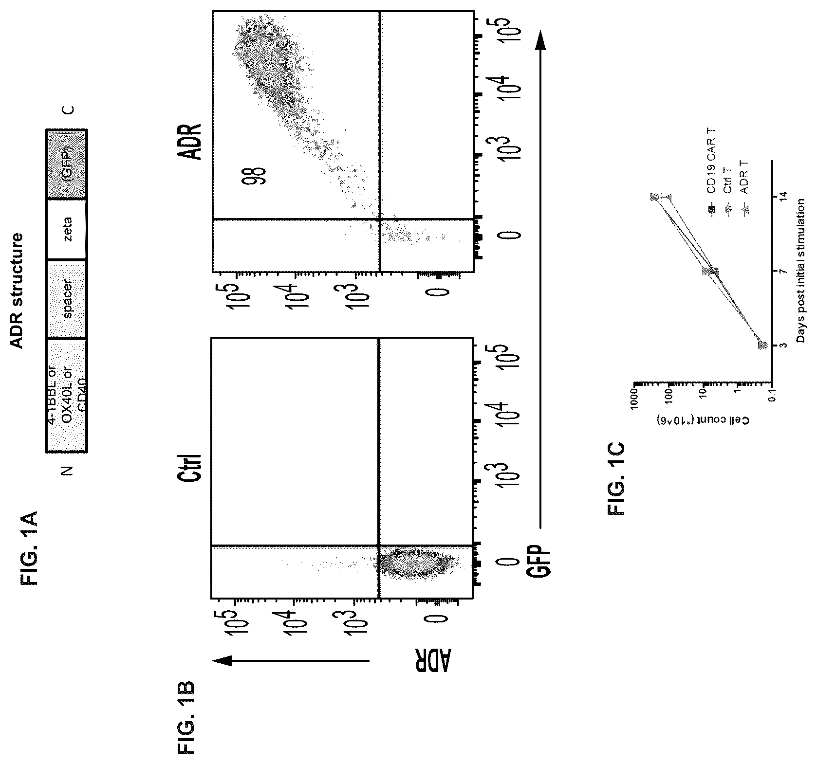 Patent US12617838 Figure 1 – Auto/allo-immune defense receptors for the selective targeting of activated pathogenic T cells and NK cells