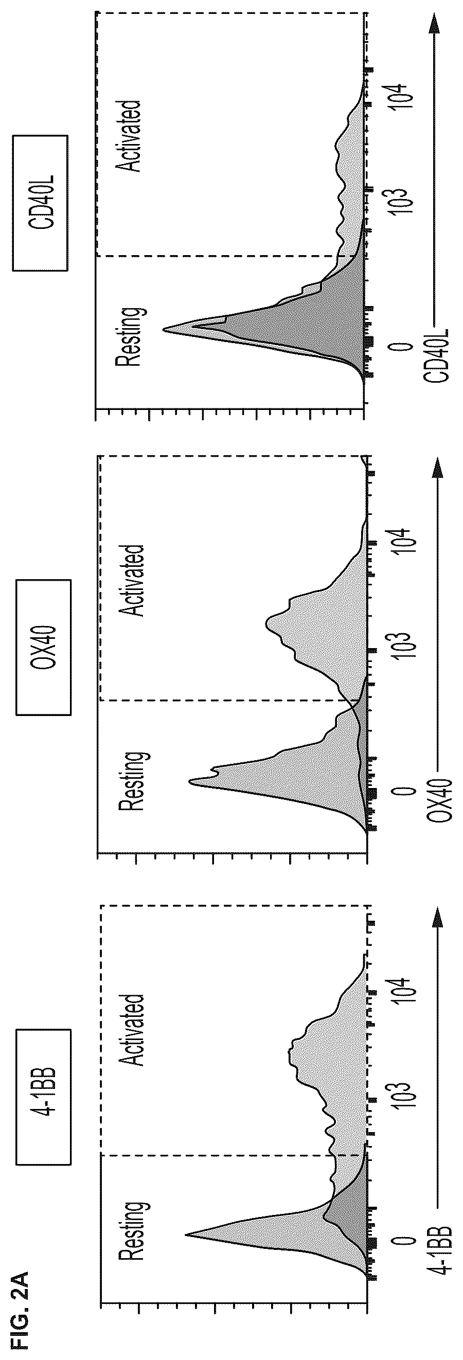 Patent US12617838 Figure 3 – Auto/allo-immune defense receptors for the selective targeting of activated pathogenic T cells and NK cells