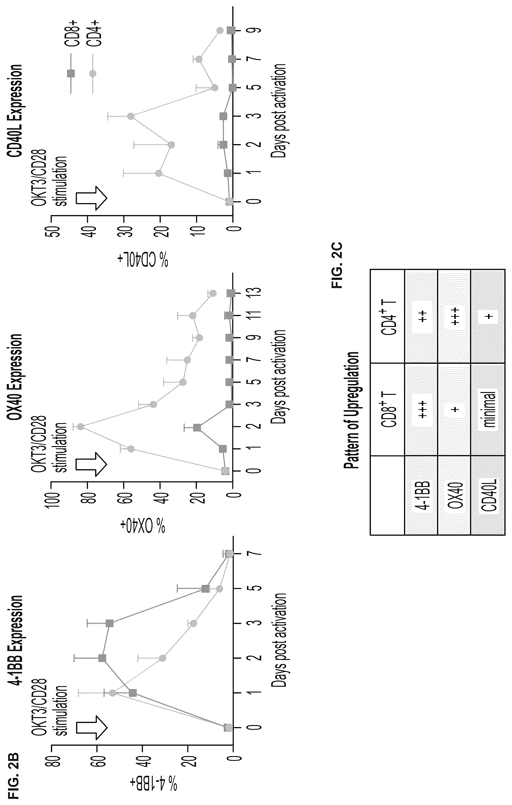 Patent US12617838 Figure 4 – Auto/allo-immune defense receptors for the selective targeting of activated pathogenic T cells and NK cells