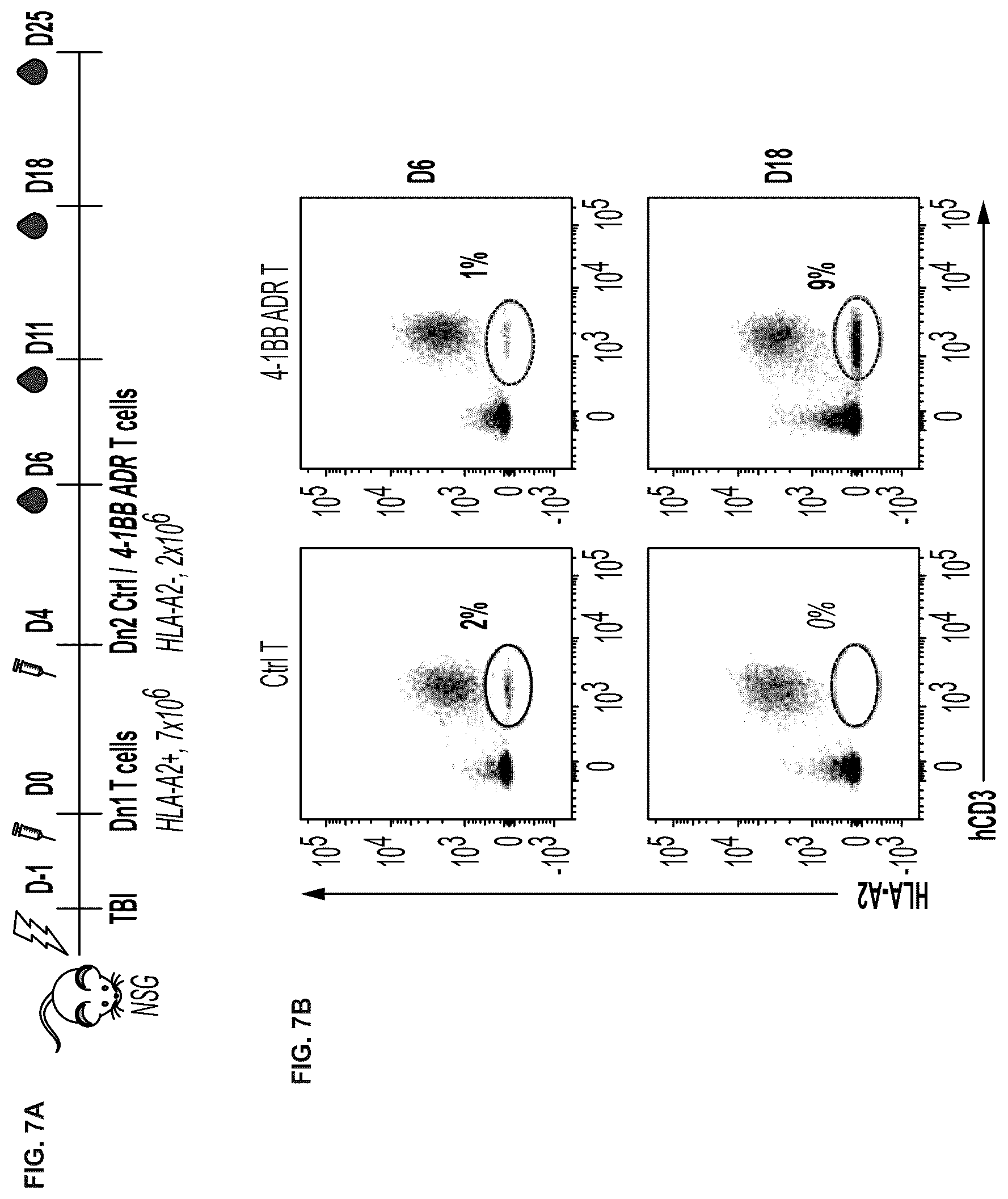 Patent US12617838 Figure 17 – Auto/allo-immune defense receptors for the selective targeting of activated pathogenic T cells and NK cells