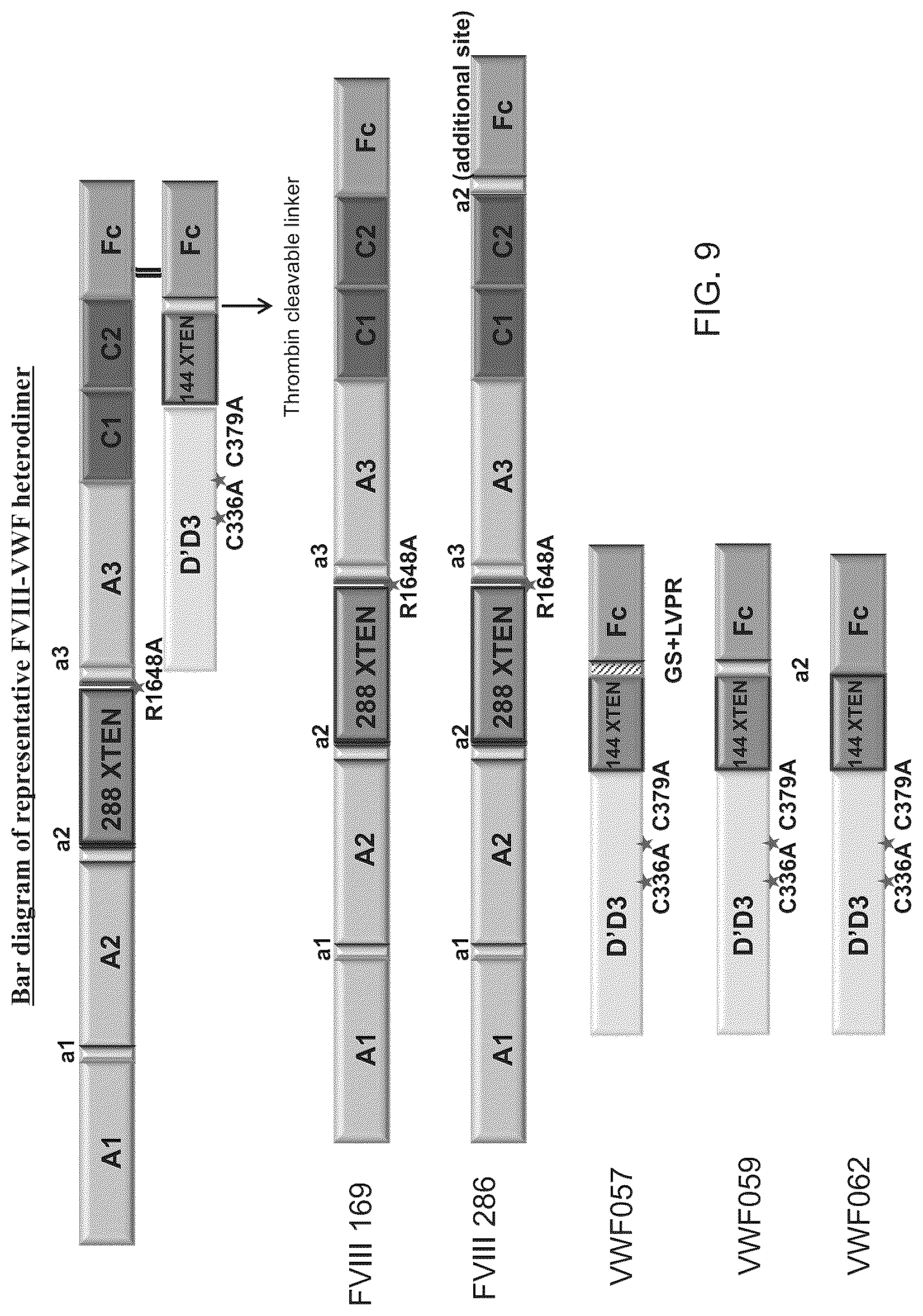Patent US12617839 Figure 10 – Factor VIII chimeric proteins and uses thereof