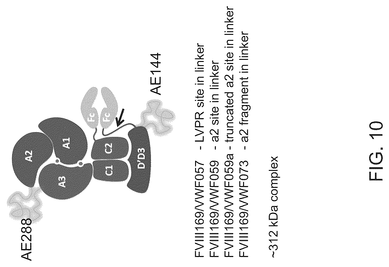Patent US12617839 Figure 11 – Factor VIII chimeric proteins and uses thereof