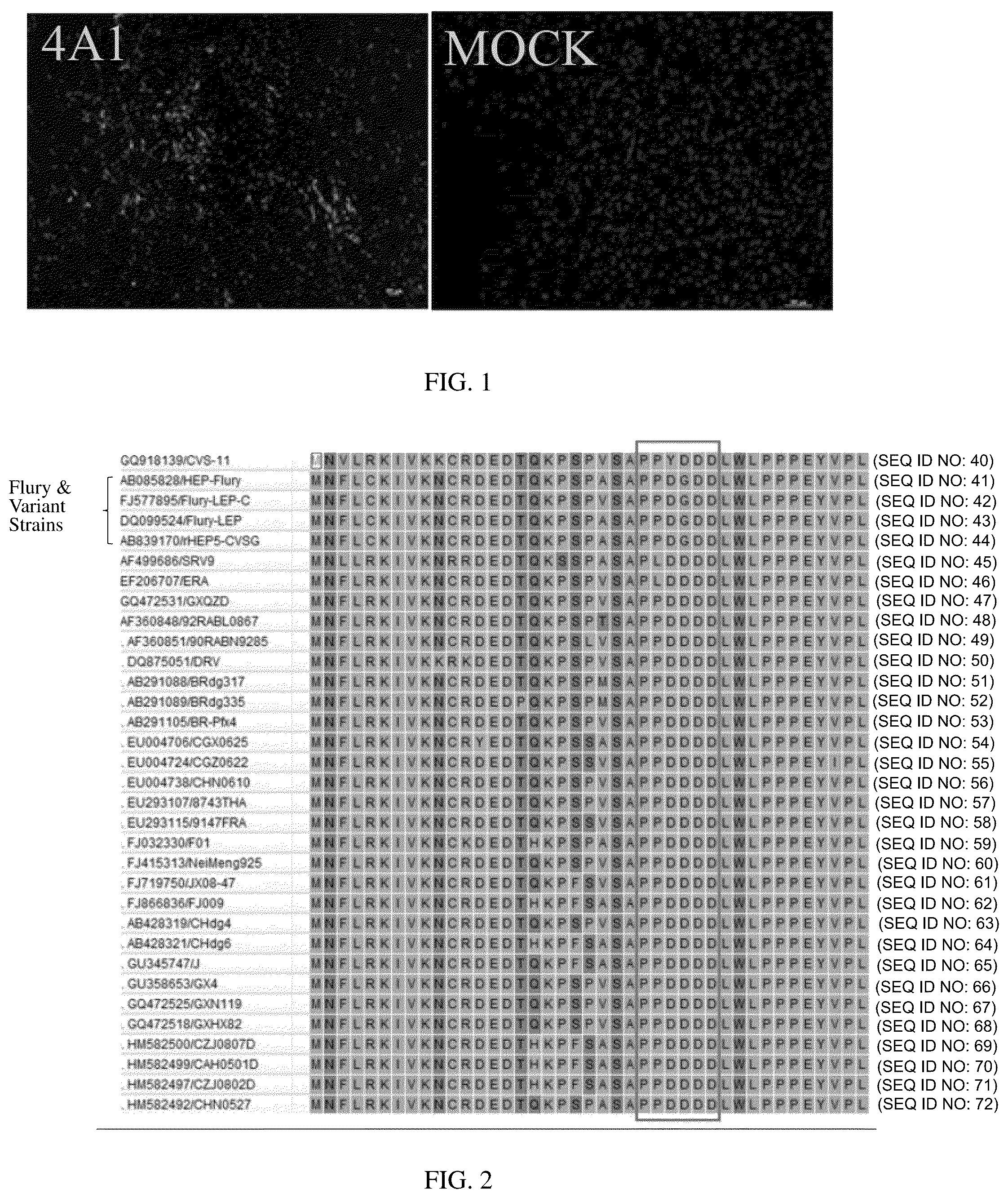 Patent US12617840 Figure 1 – Hybridoma cell line for secreting anti-rabies virus M protein monoclonal antibody and application thereof