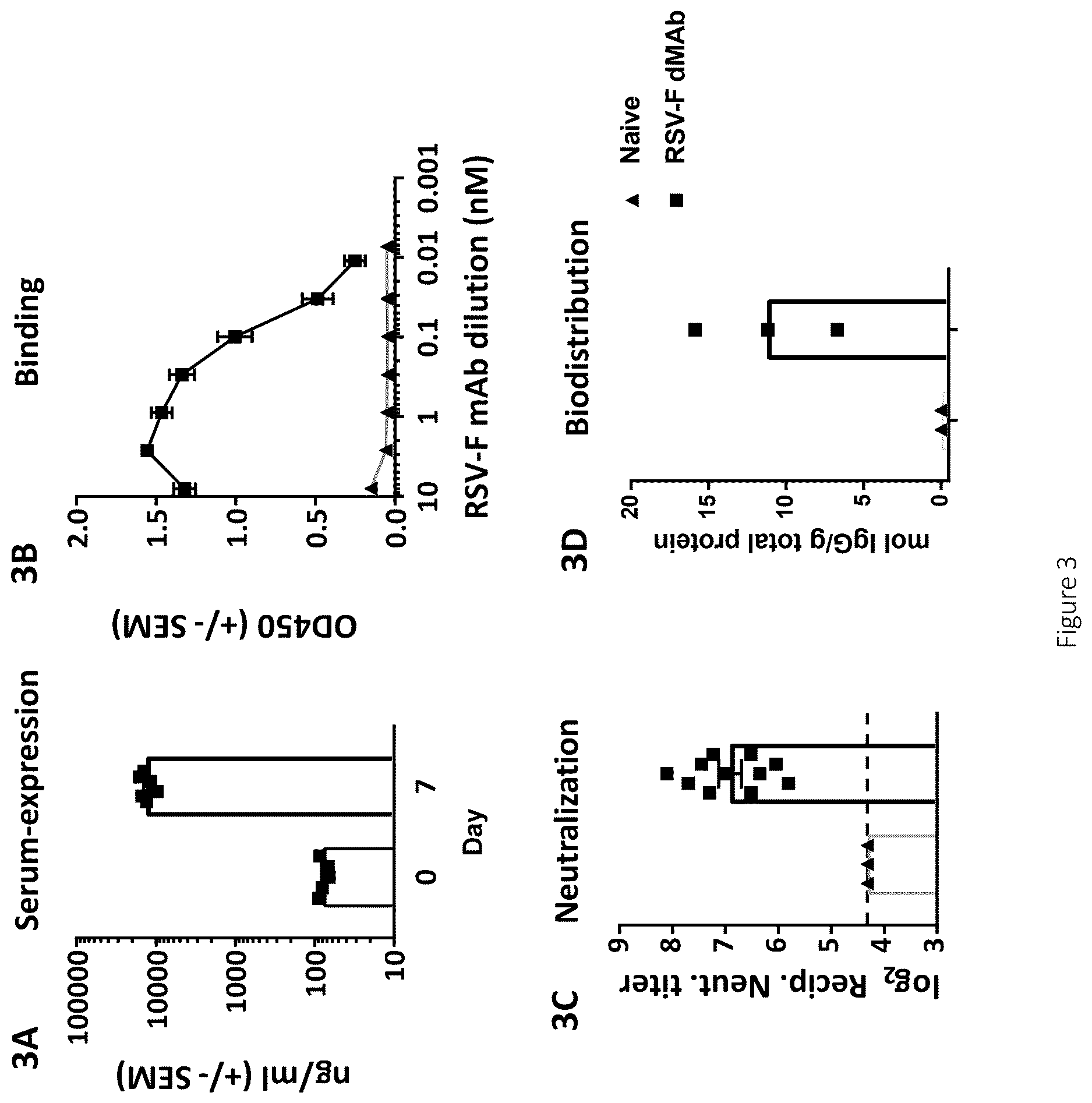 Patent US12617841 Figure 4 – Nucleic acid antibody constructs for use against respiratory syncytial virus