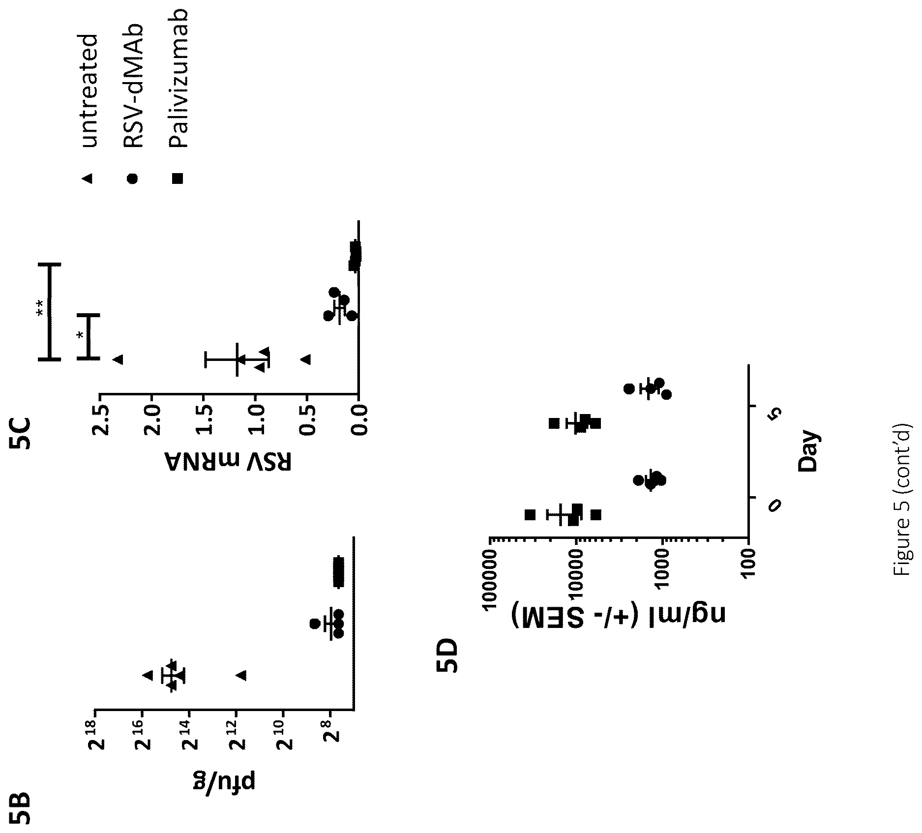 Patent US12617841 Figure 7 – Nucleic acid antibody constructs for use against respiratory syncytial virus