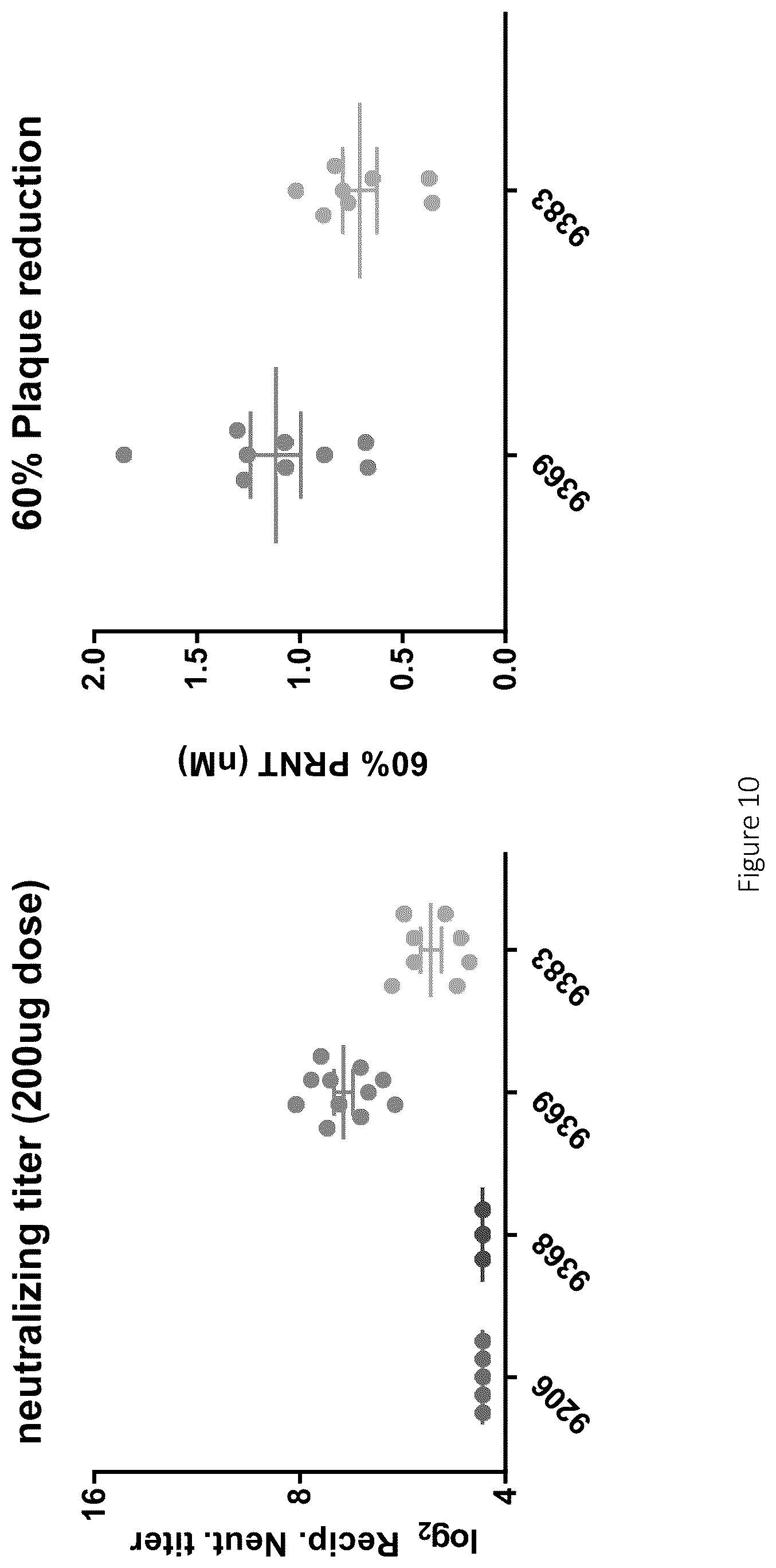 Patent US12617841 Figure 12 – Nucleic acid antibody constructs for use against respiratory syncytial virus